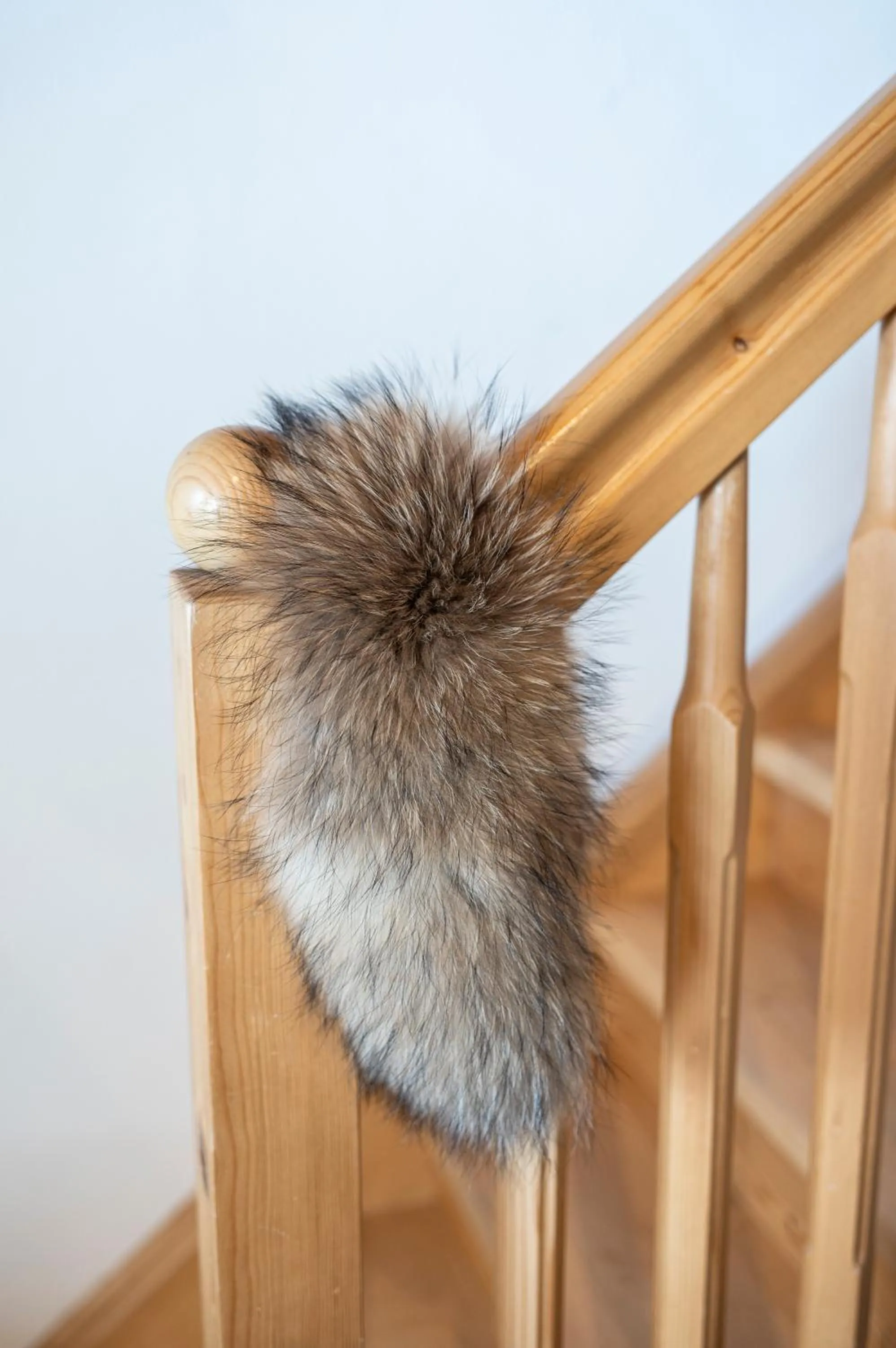 Hotel Almschlössl & Schrotteralm