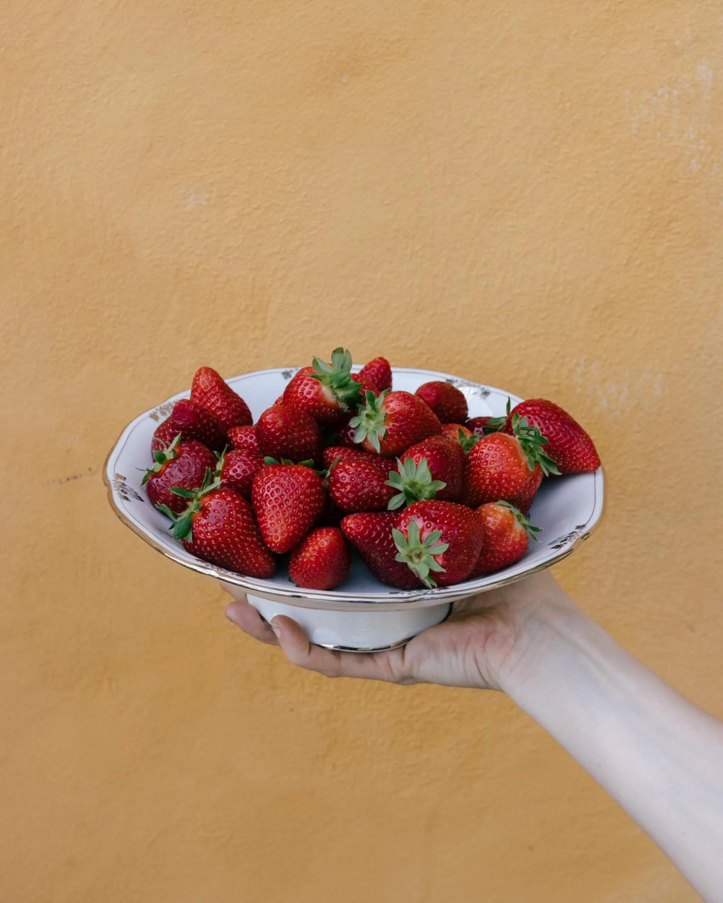 Restaurant/places to eat in Pensione Bencistà