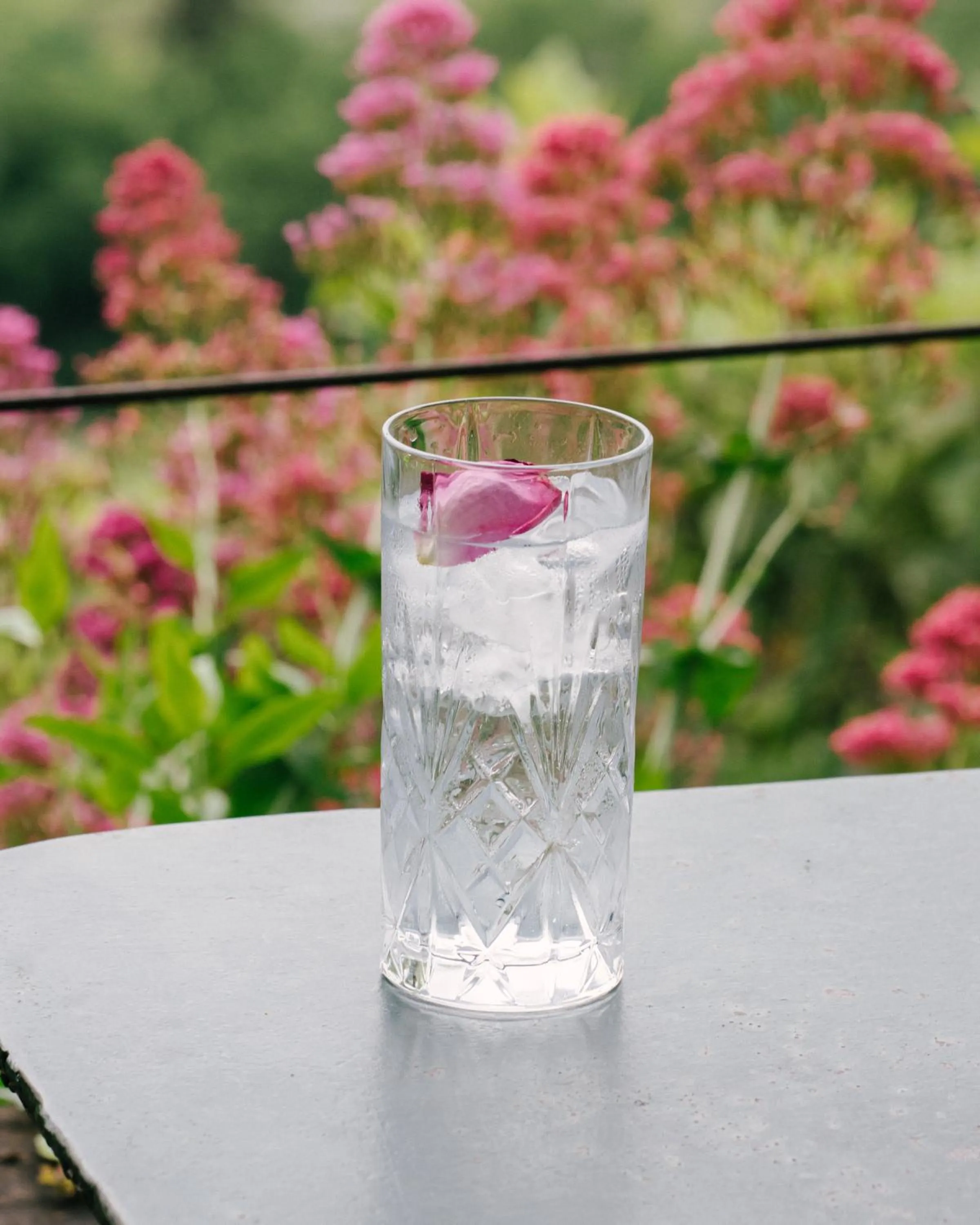 Restaurant/places to eat in Pensione Bencistà