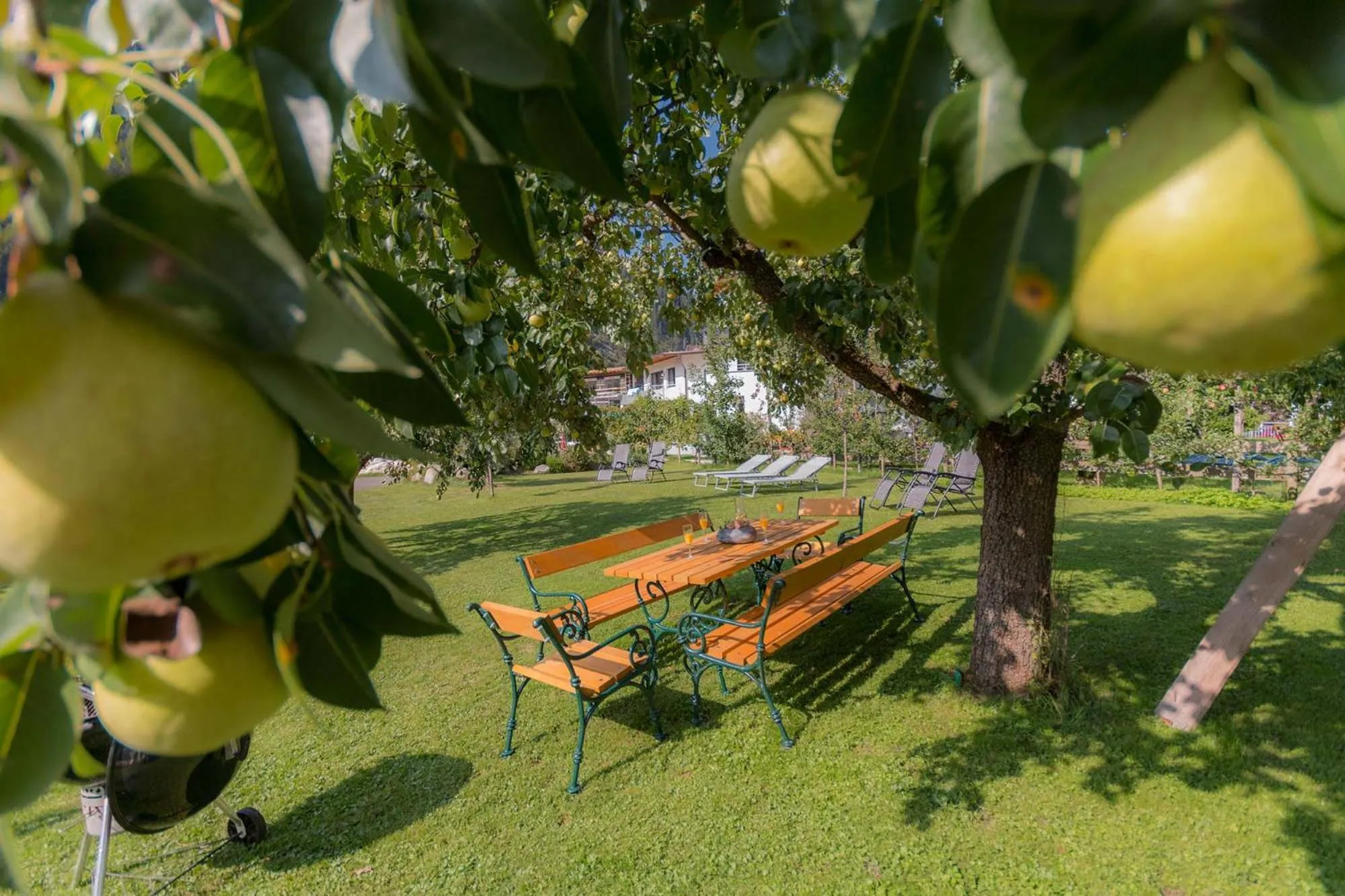 BBQ facilities in Apart Central – Premium Mountain&Garden