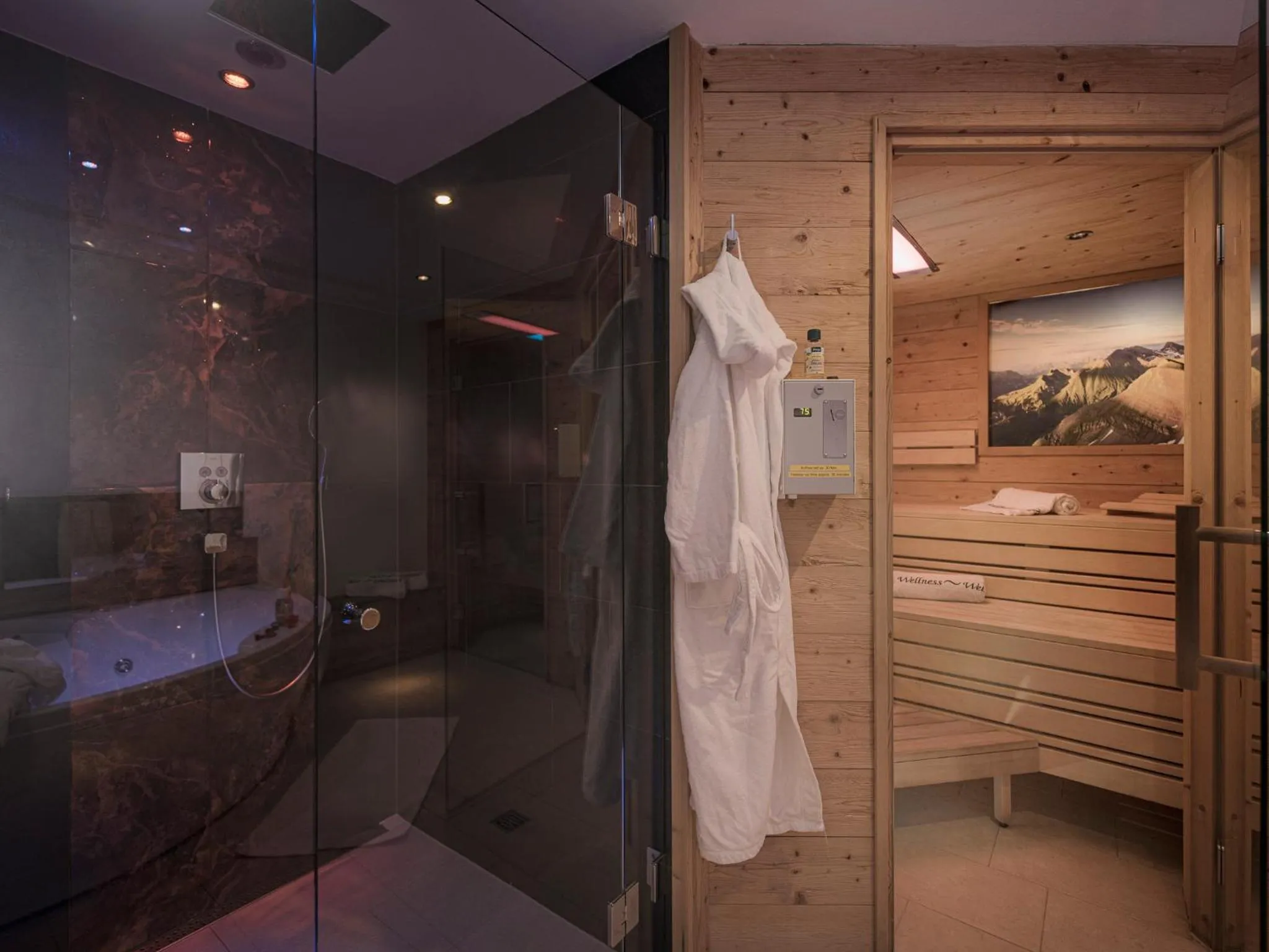 Shower in Apart Central – Premium Mountain&Garden