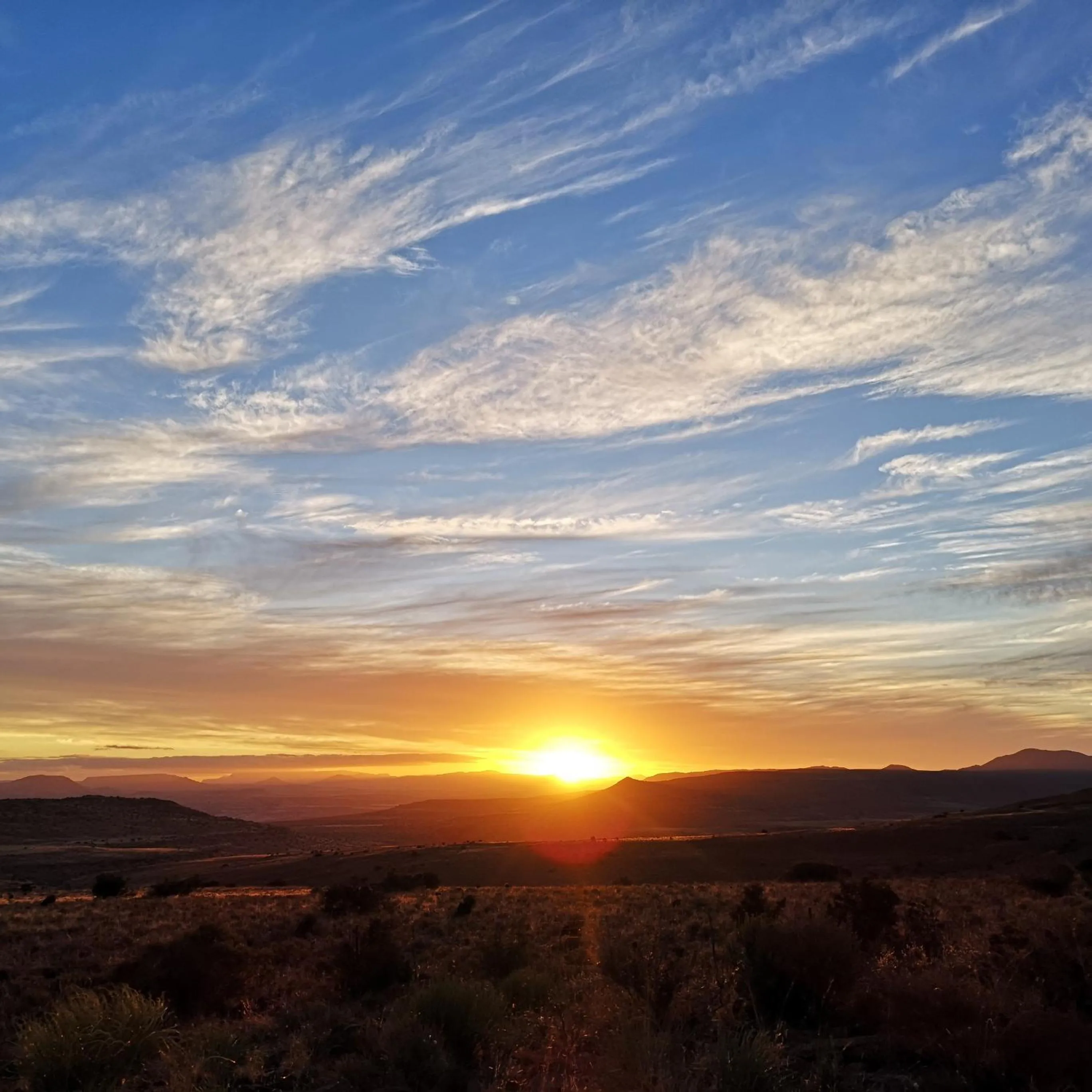 View (from property/room) in Ganora Guest Farm, Camping and Excursions