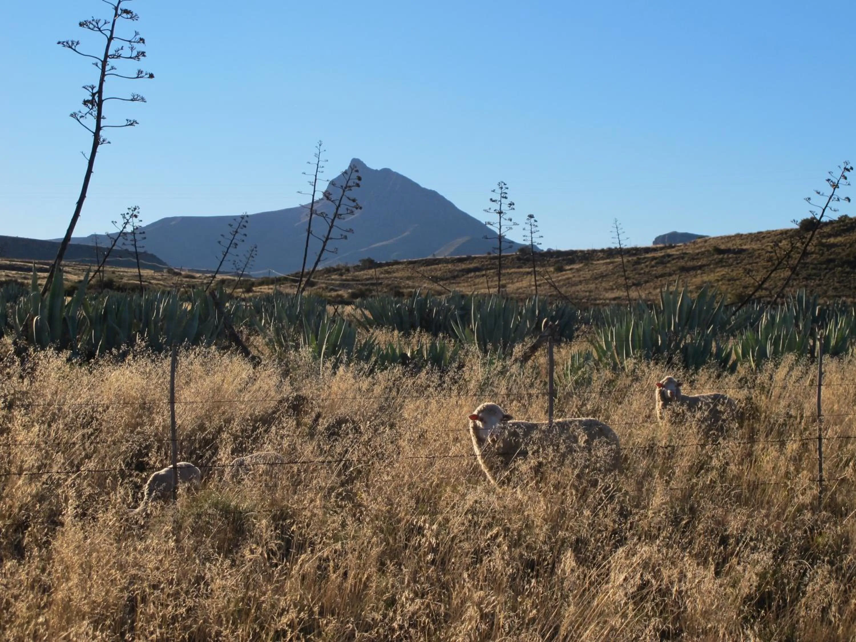 Nearby landmark in Ganora Guest Farm, Camping and Excursions