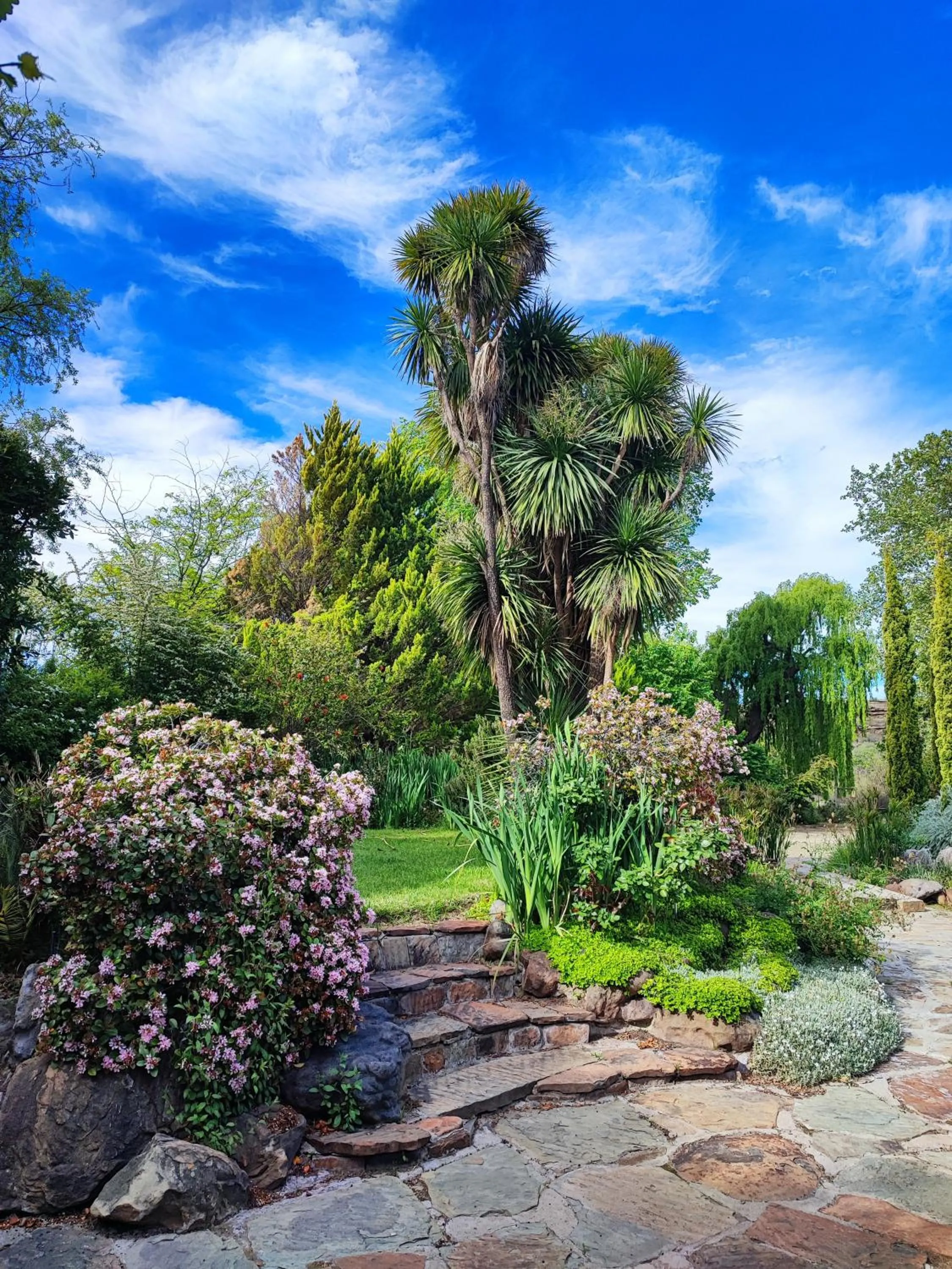 Garden in Ganora Guest Farm, Camping and Excursions