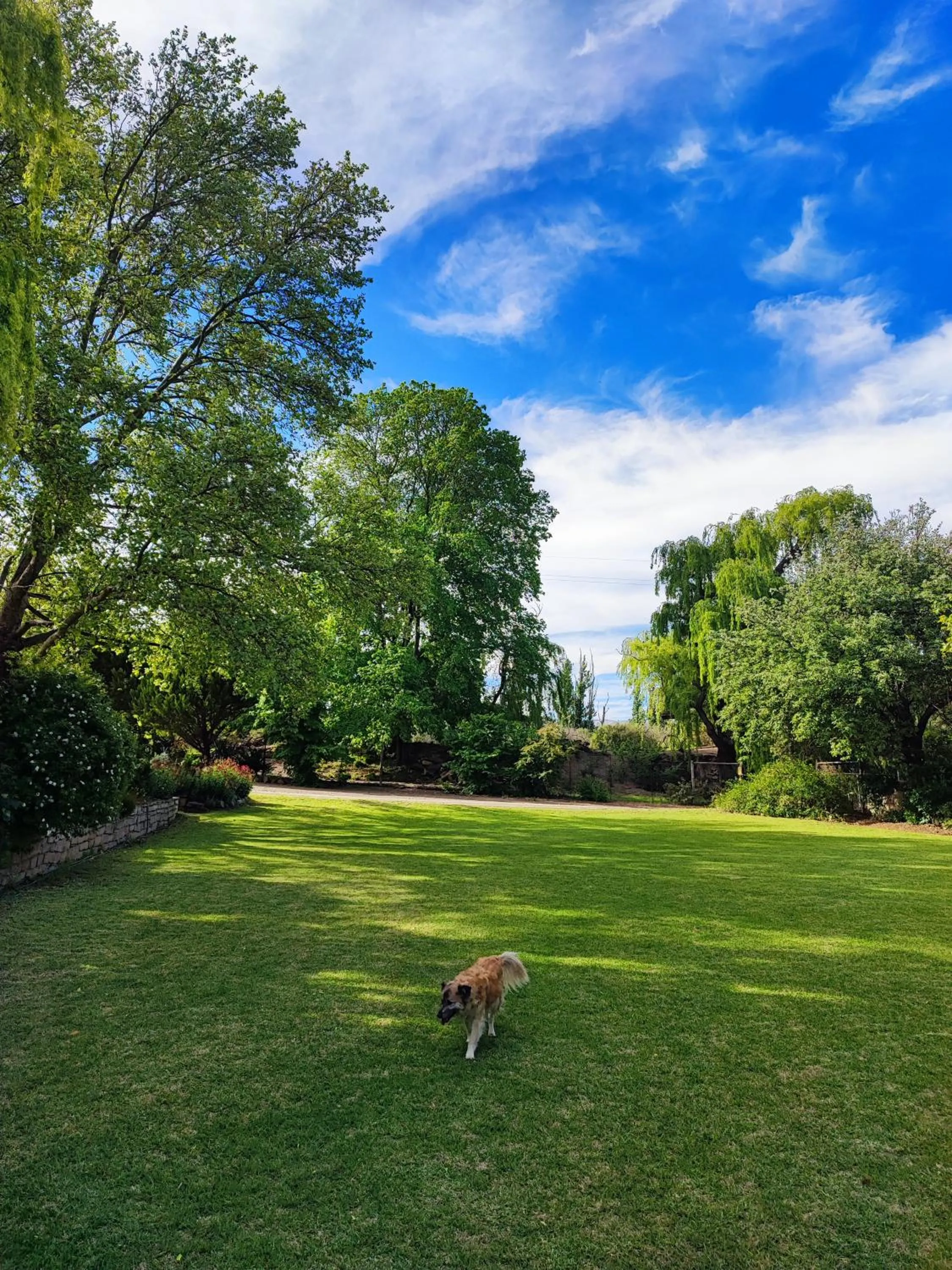 Garden in Ganora Guest Farm, Camping and Excursions