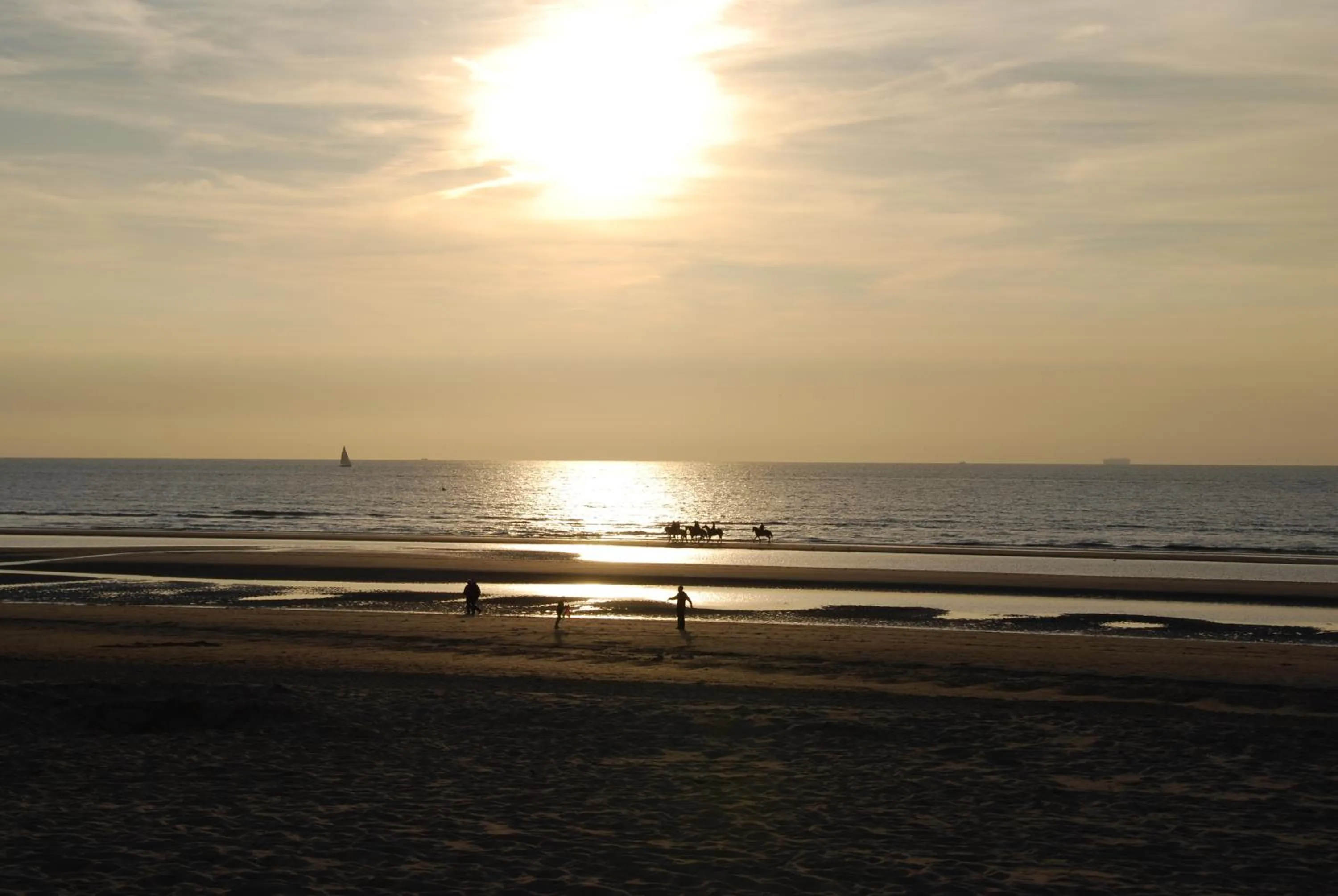 Natural landscape in Hotel Rubens