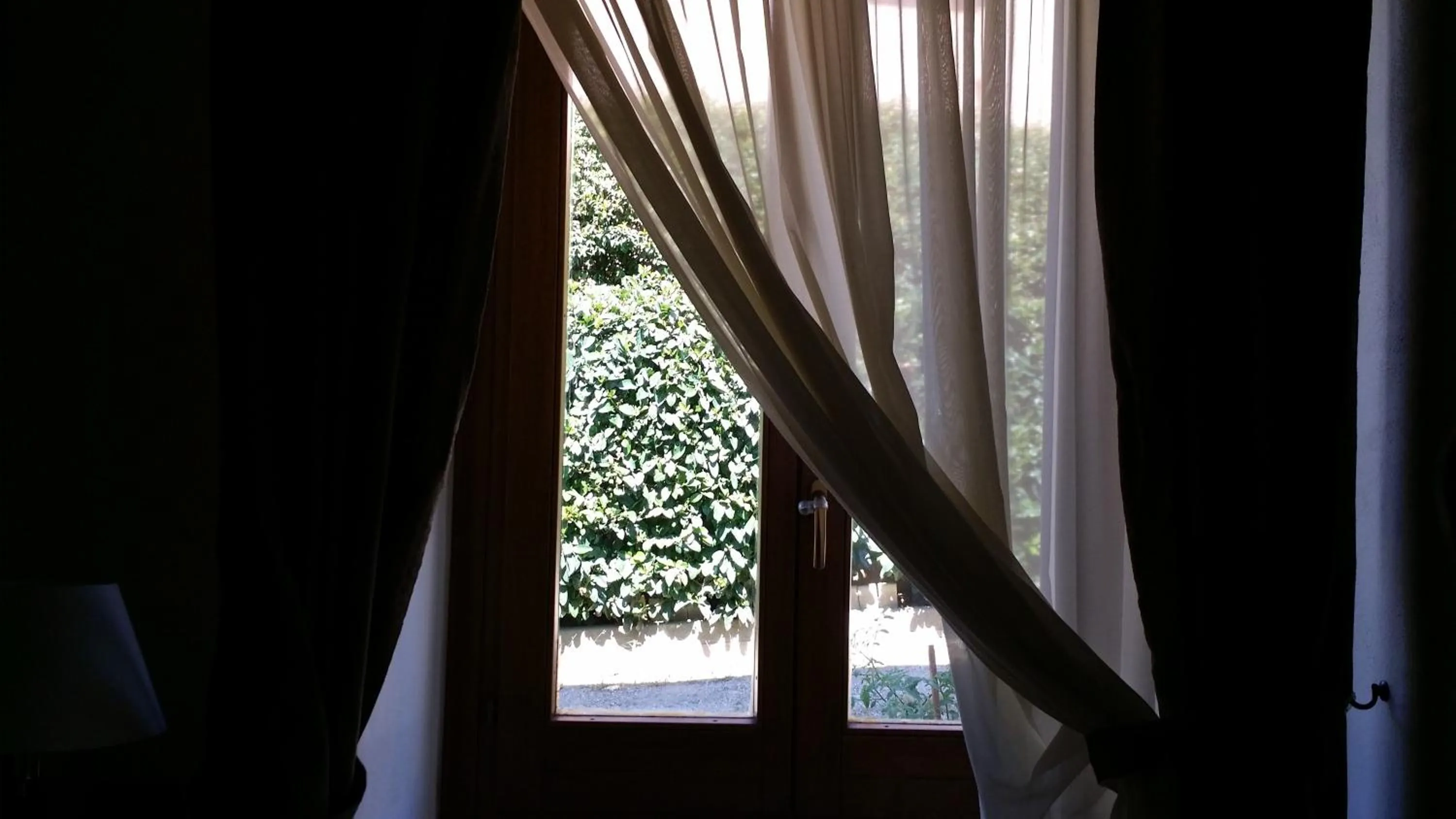 Garden view in Villa Margherita