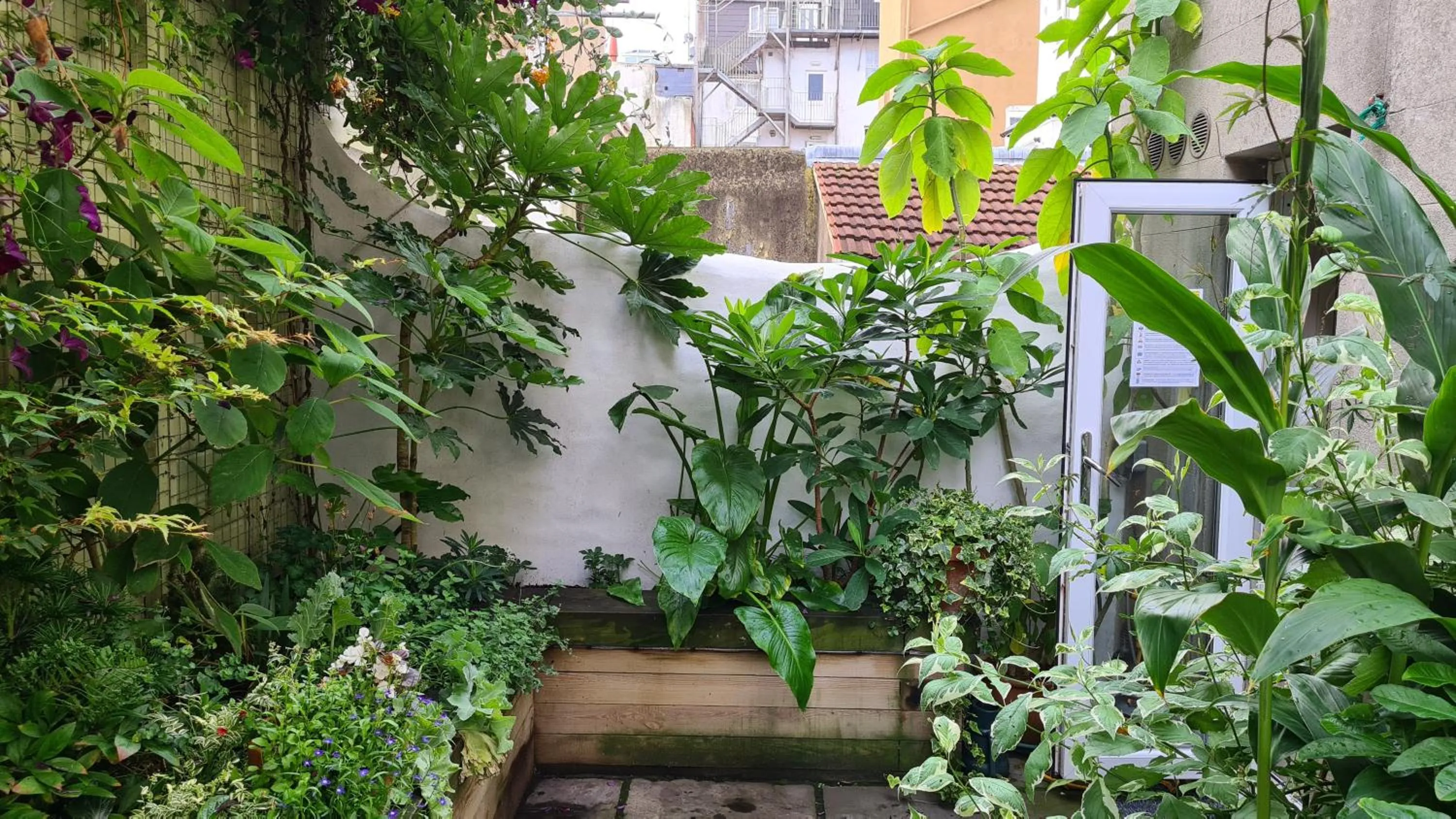 Garden in Red Brighton Blue