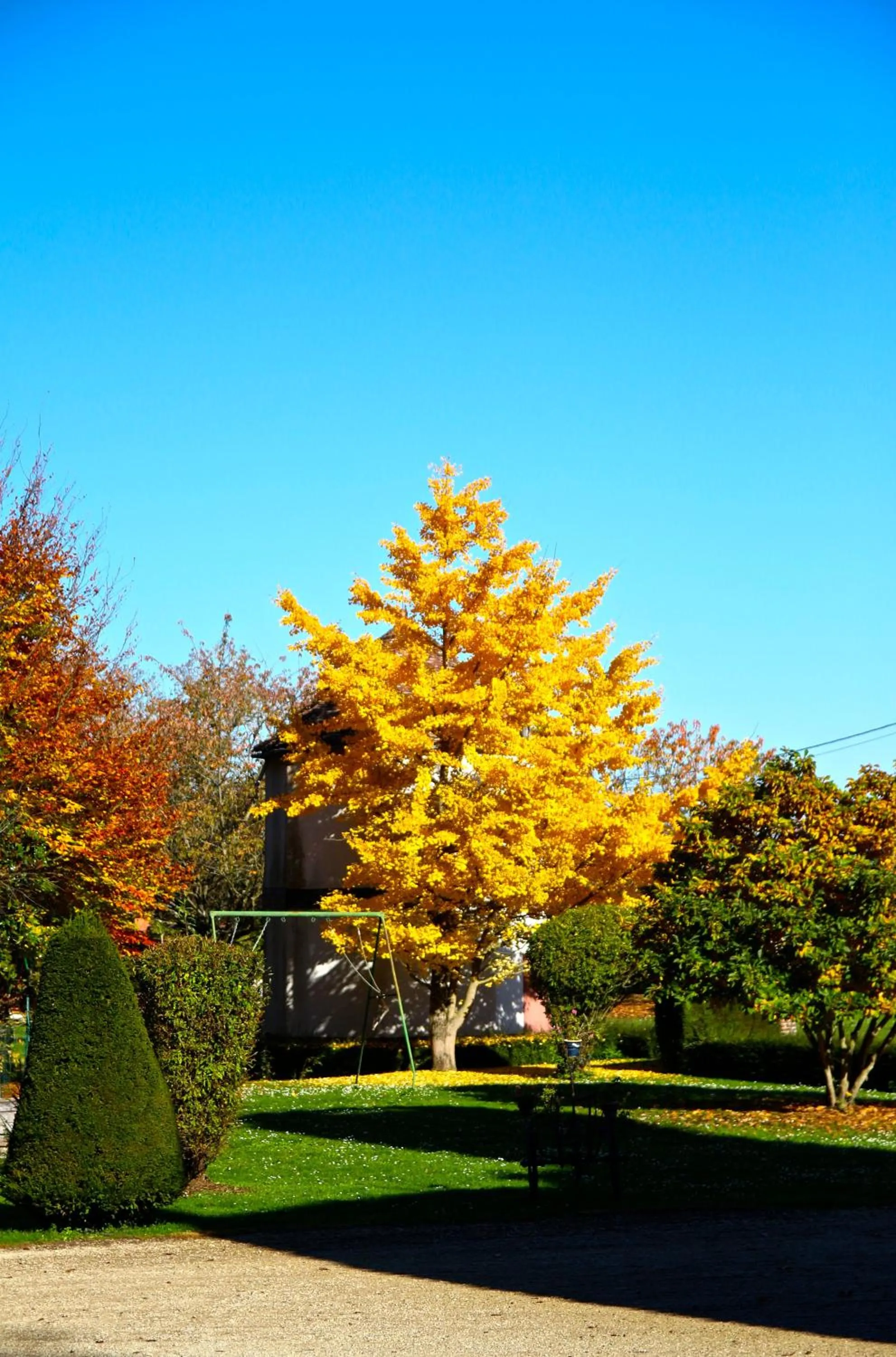 Garden in Château de Montabert