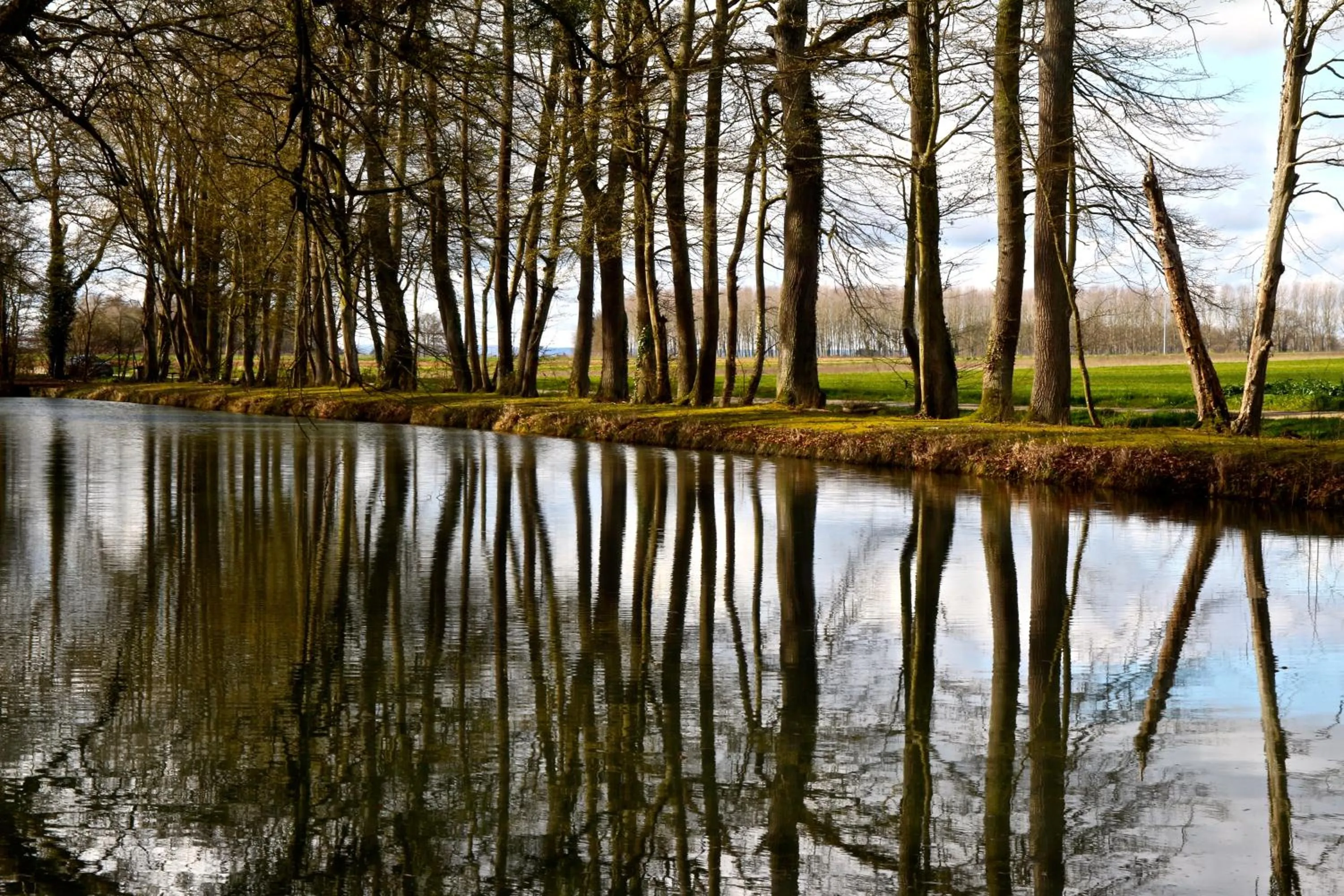 Garden in Château de Montabert