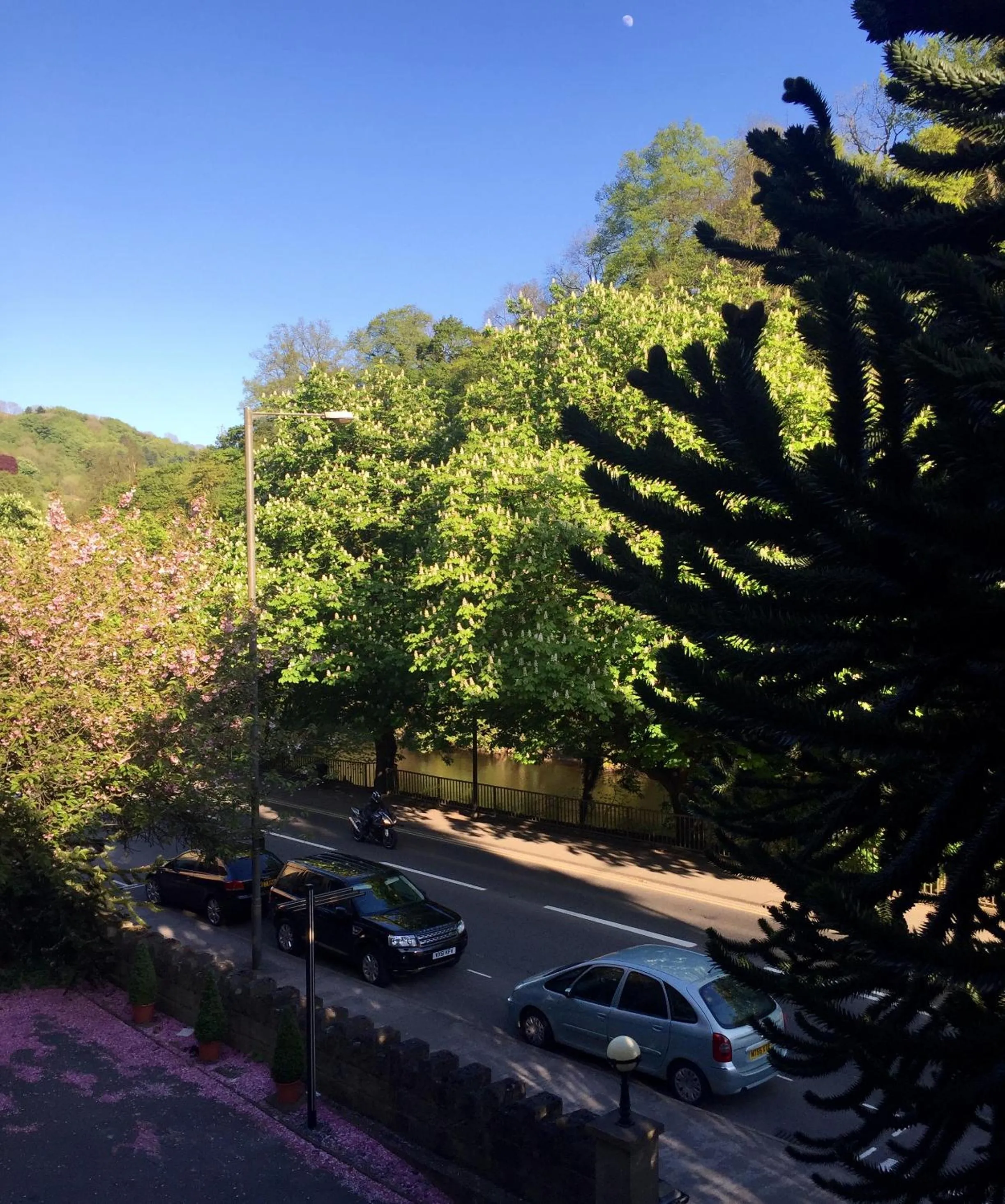 River view in Ashdale Guesthouse