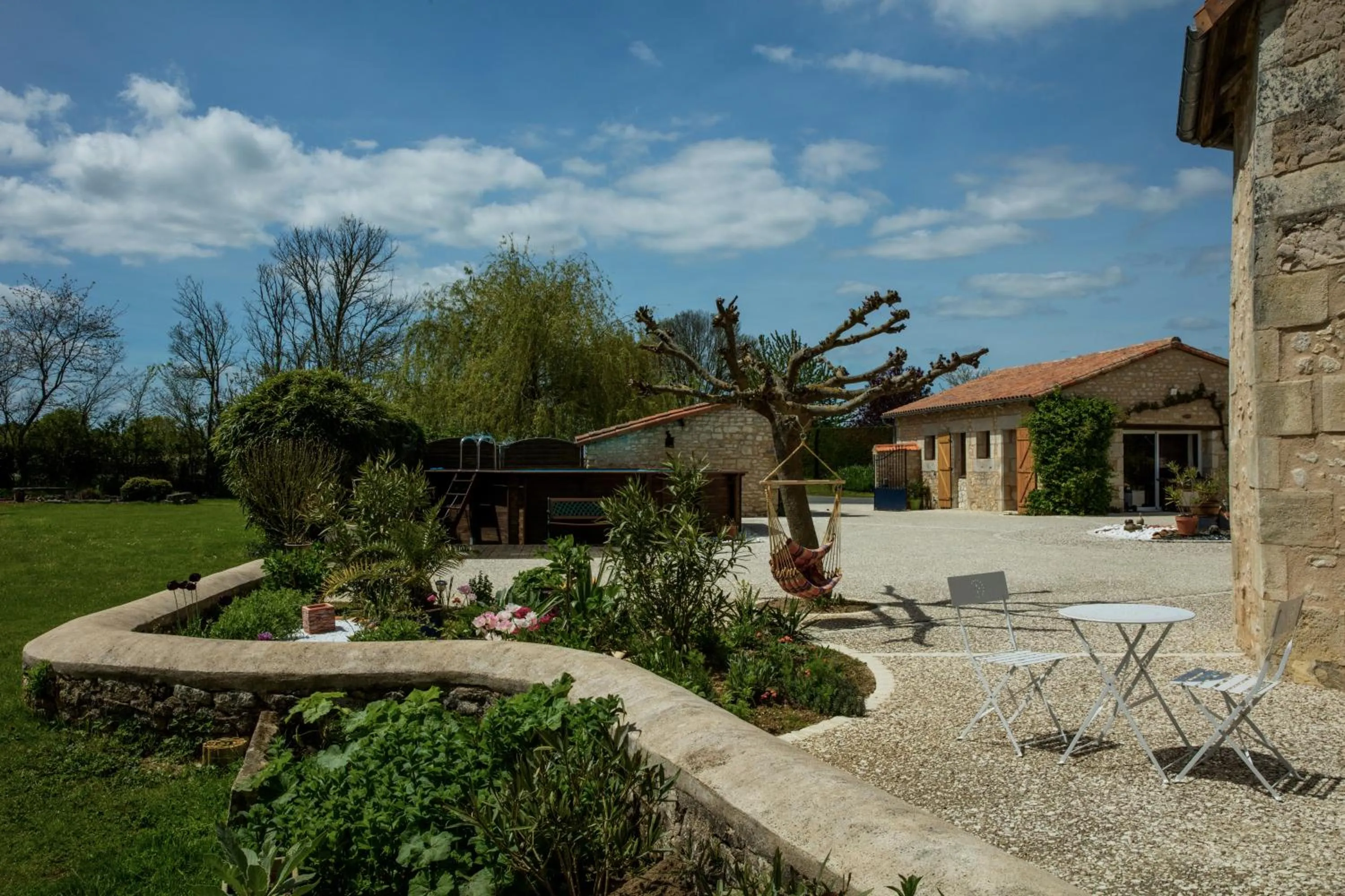 Spring in The Wild Seeds