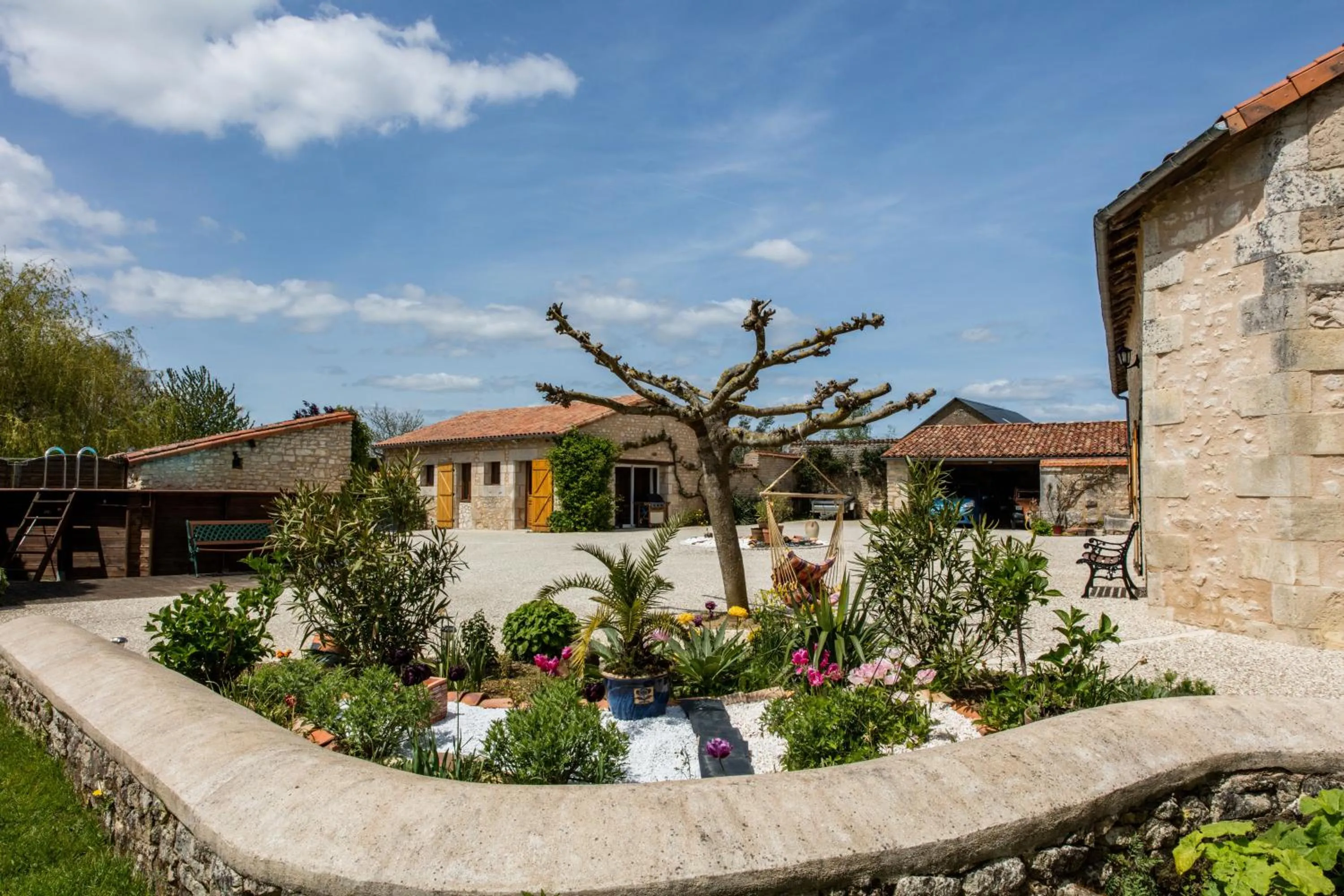 Spring in The Wild Seeds