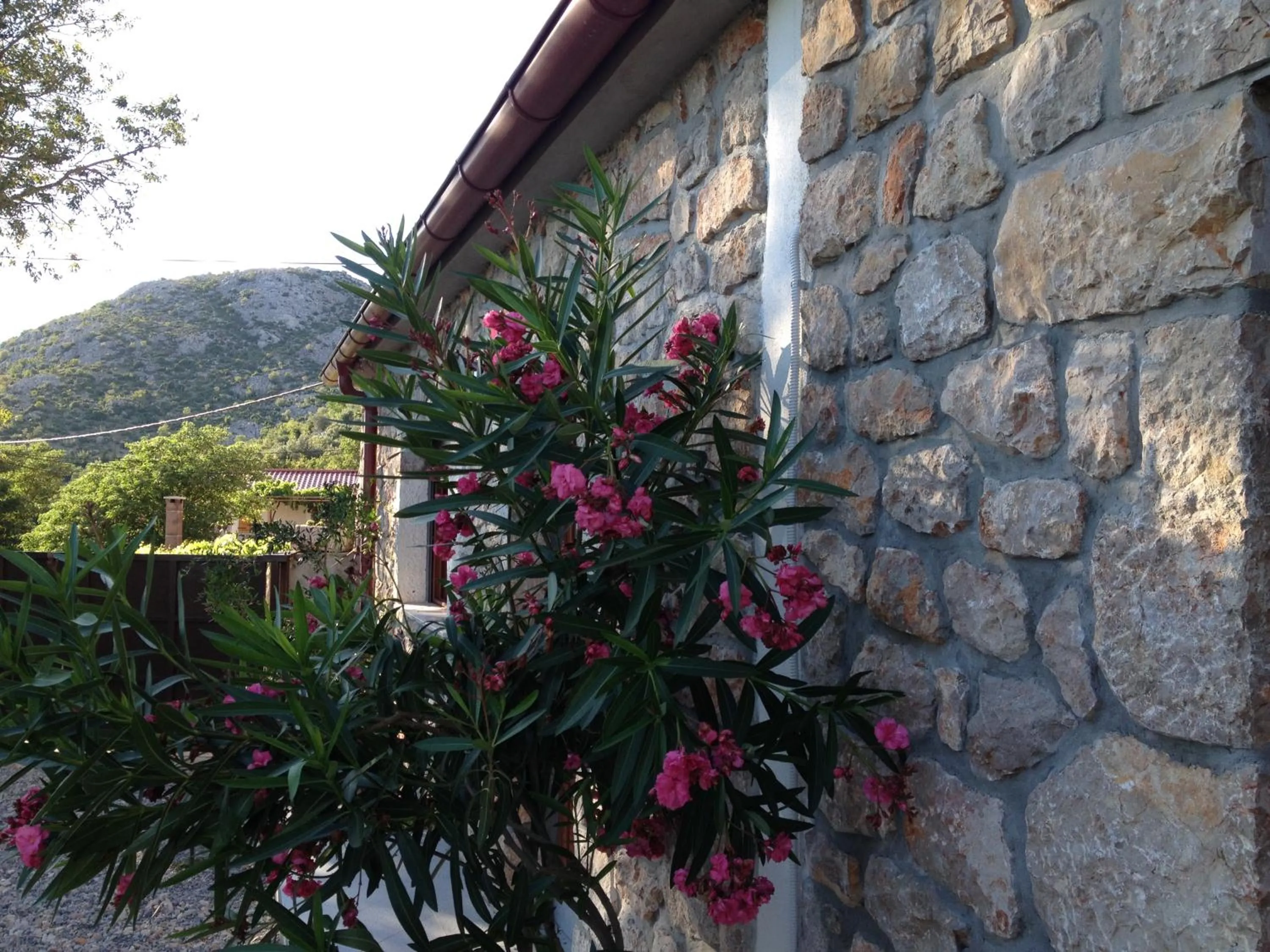 Decorative detail in Holiday Home Milovci
