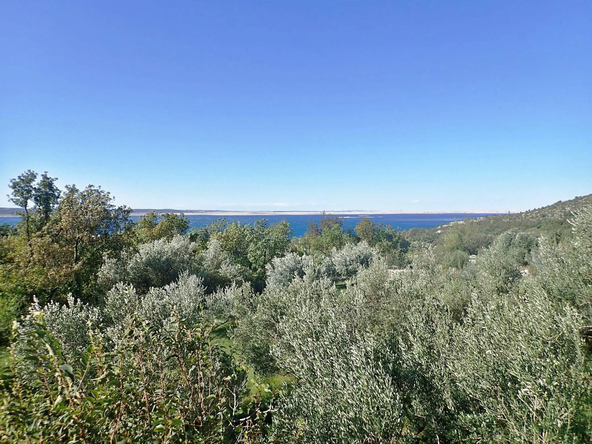 Natural landscape in Holiday Home Milovci