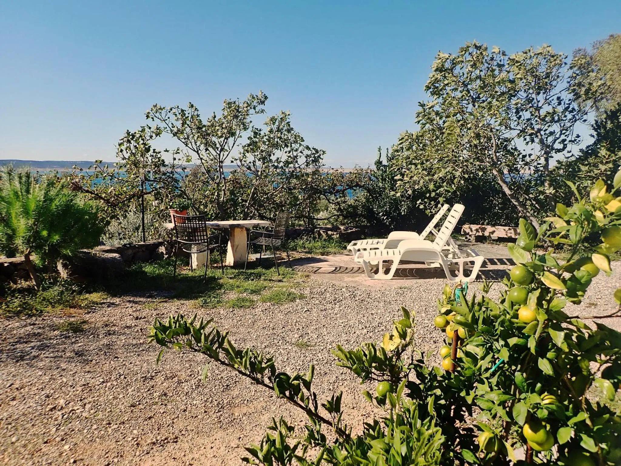 Garden in Holiday Home Milovci