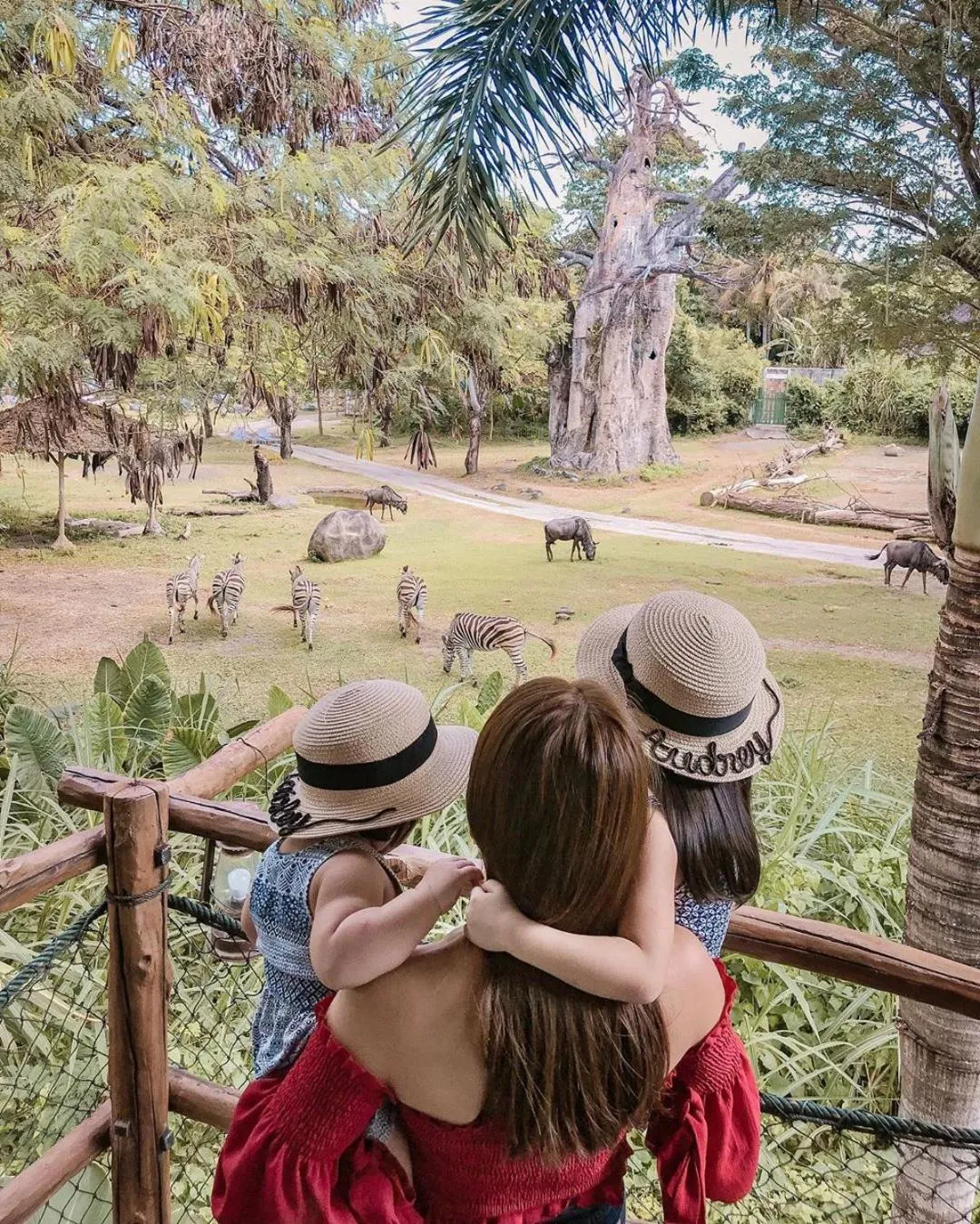 Natural landscape in Mara River Safari Lodge Bali