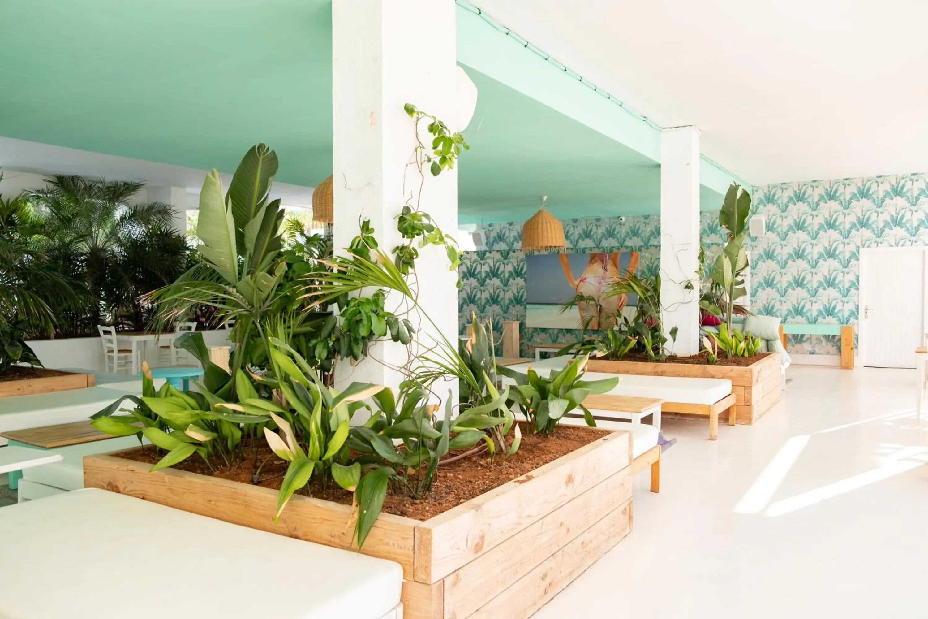 Lounge or bar in Beach Star Ibiza Lounge or bar in Beach Star Ibiza