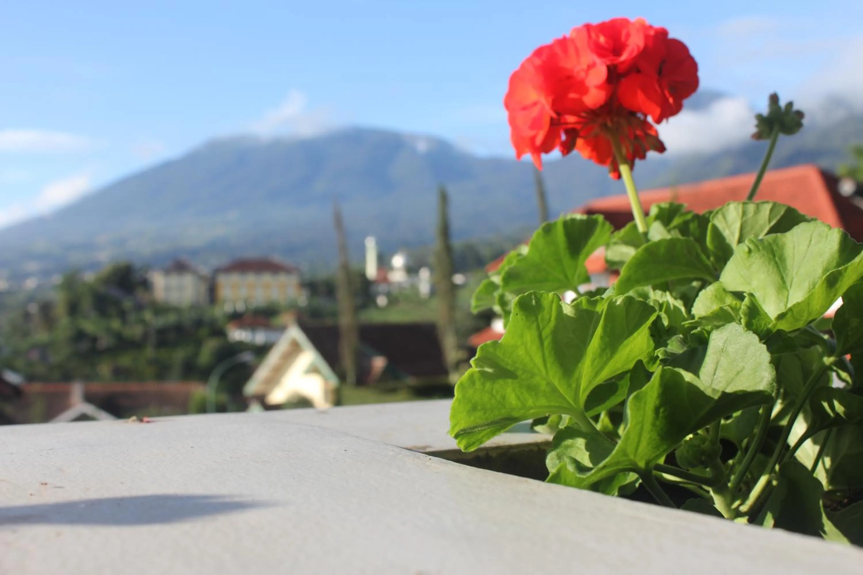 View (from property/room) in Villa Buenavista Puncak