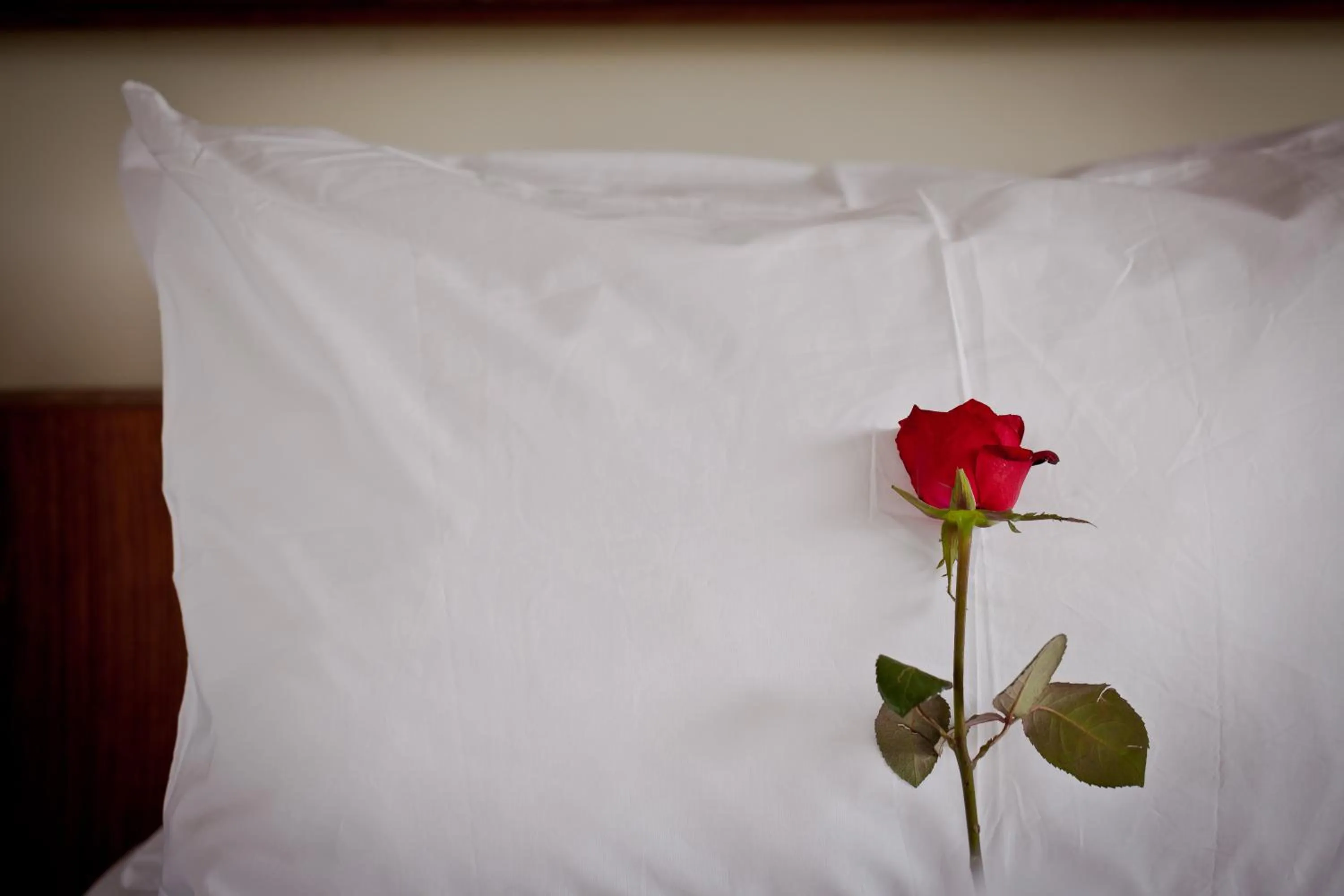 Day in Sri Ratih Cottages, CHSE Certified