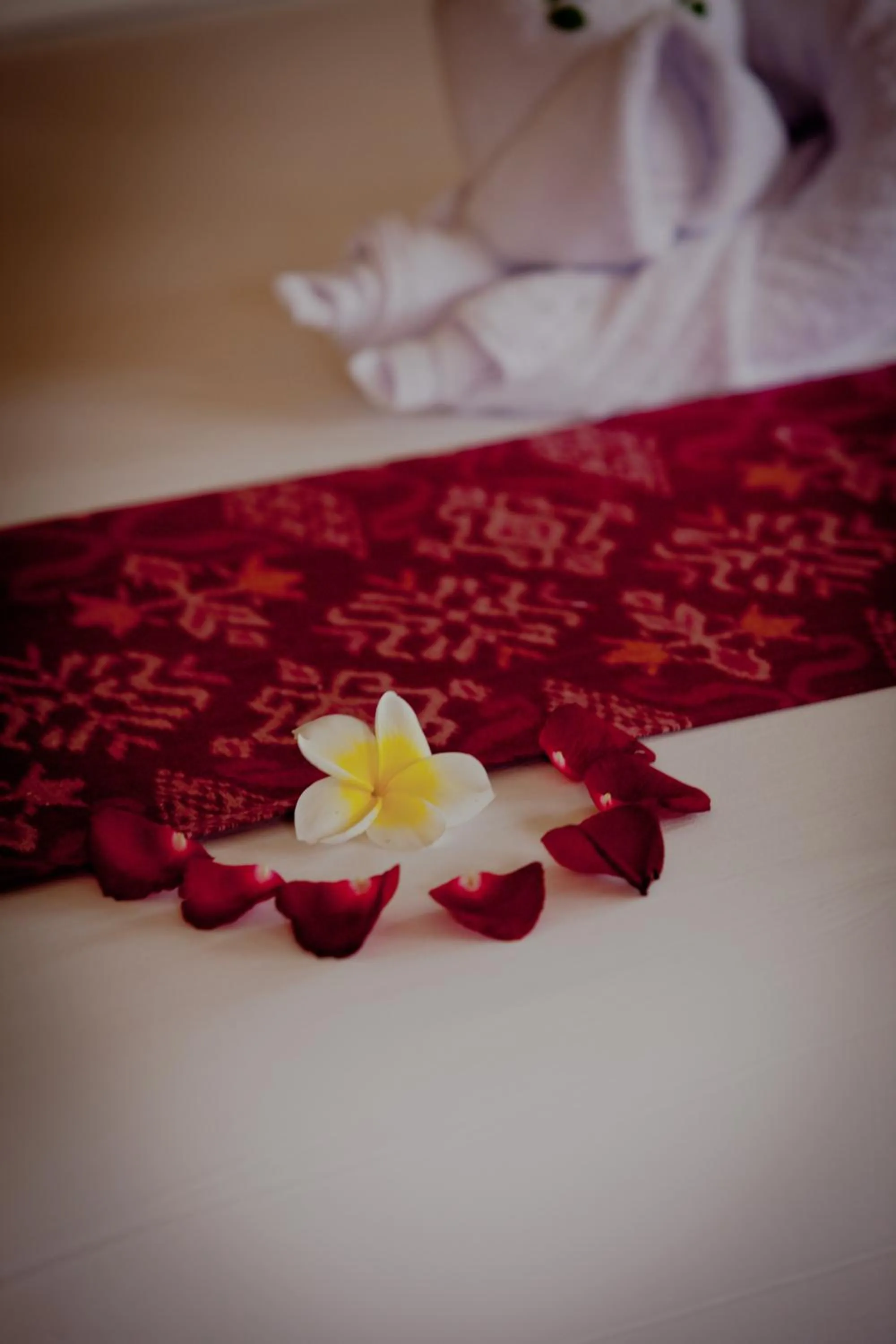 Day in Sri Ratih Cottages, CHSE Certified