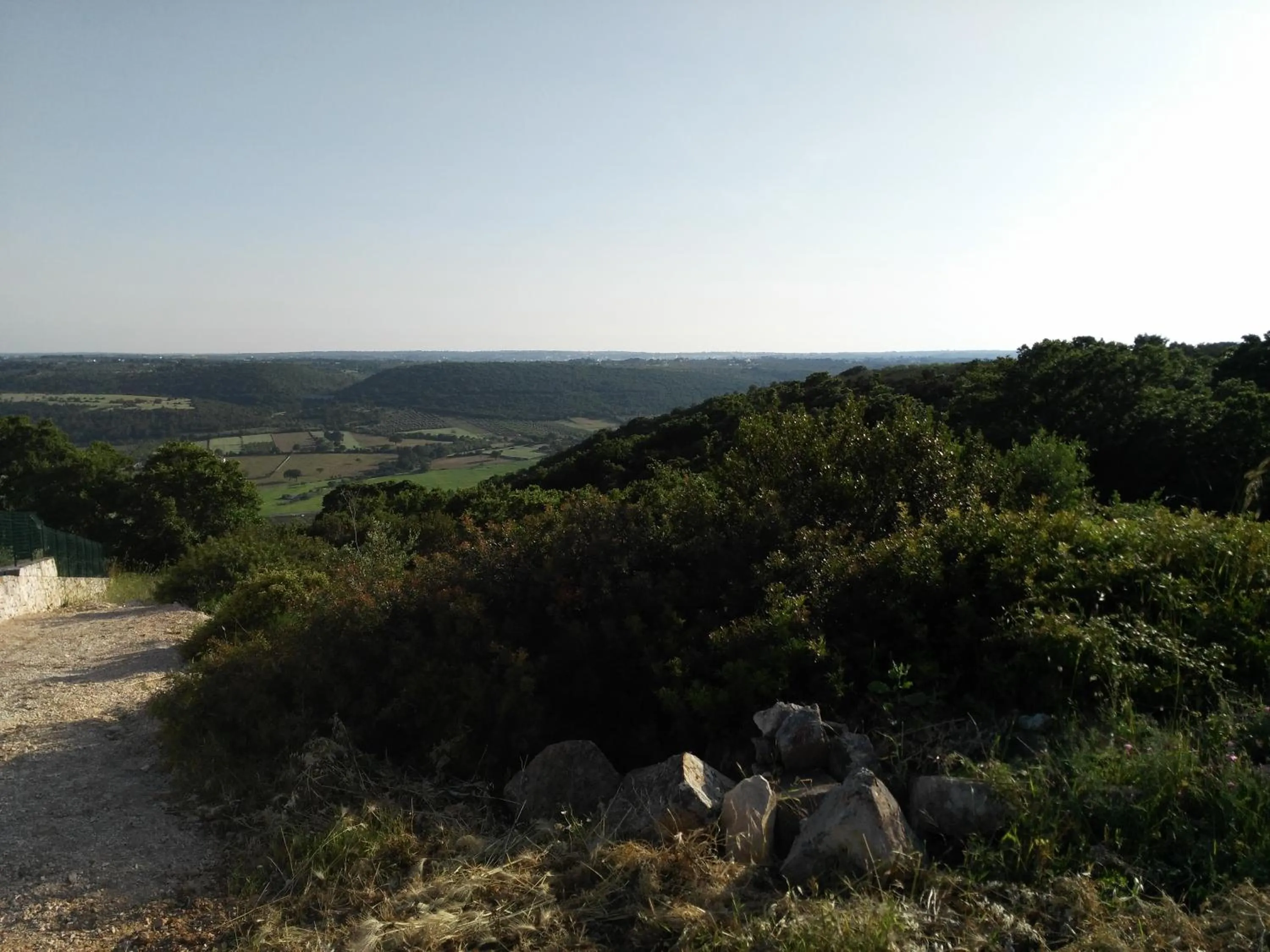 Other in La Suite nel Bosco