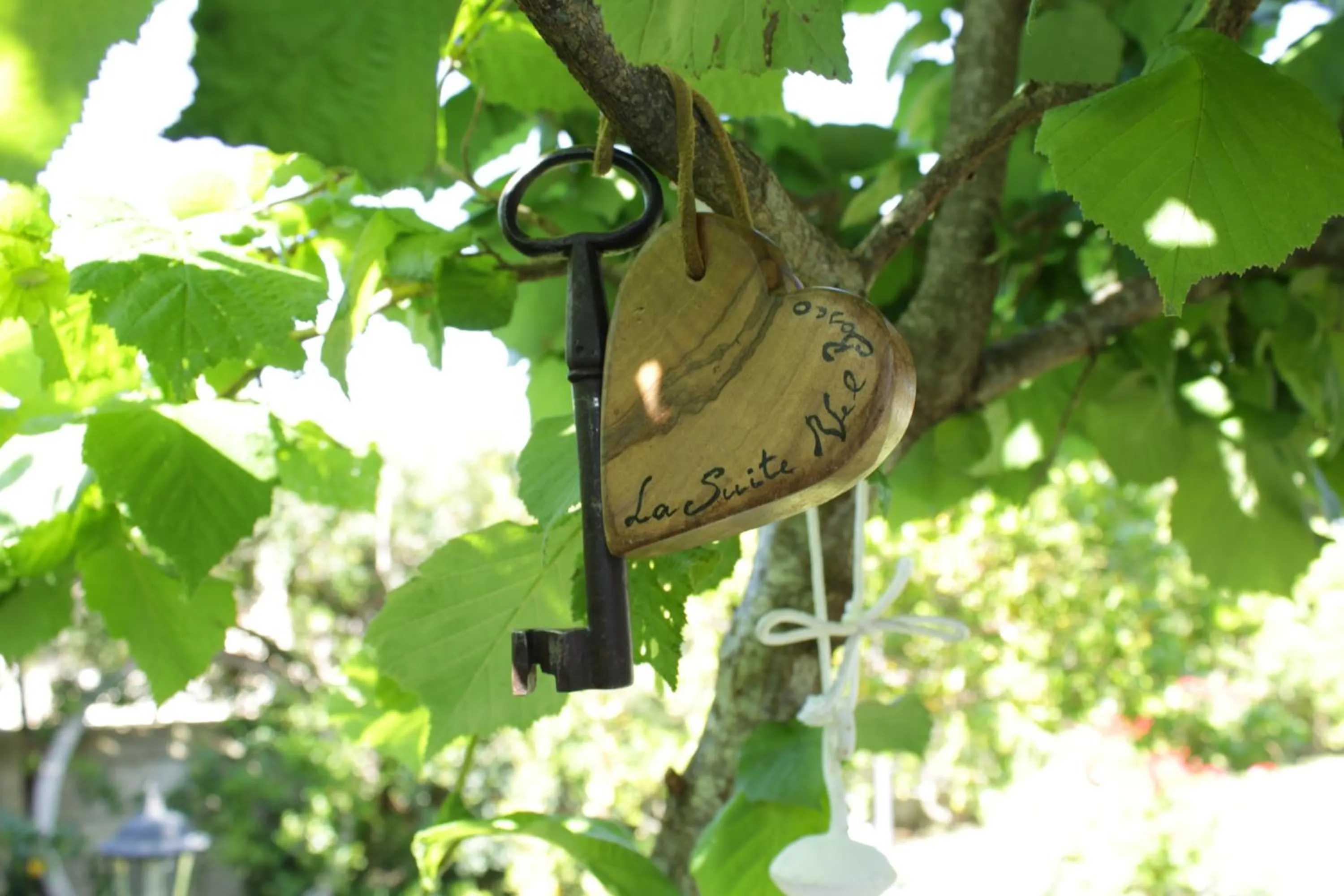 Decorative detail in La Suite nel Bosco