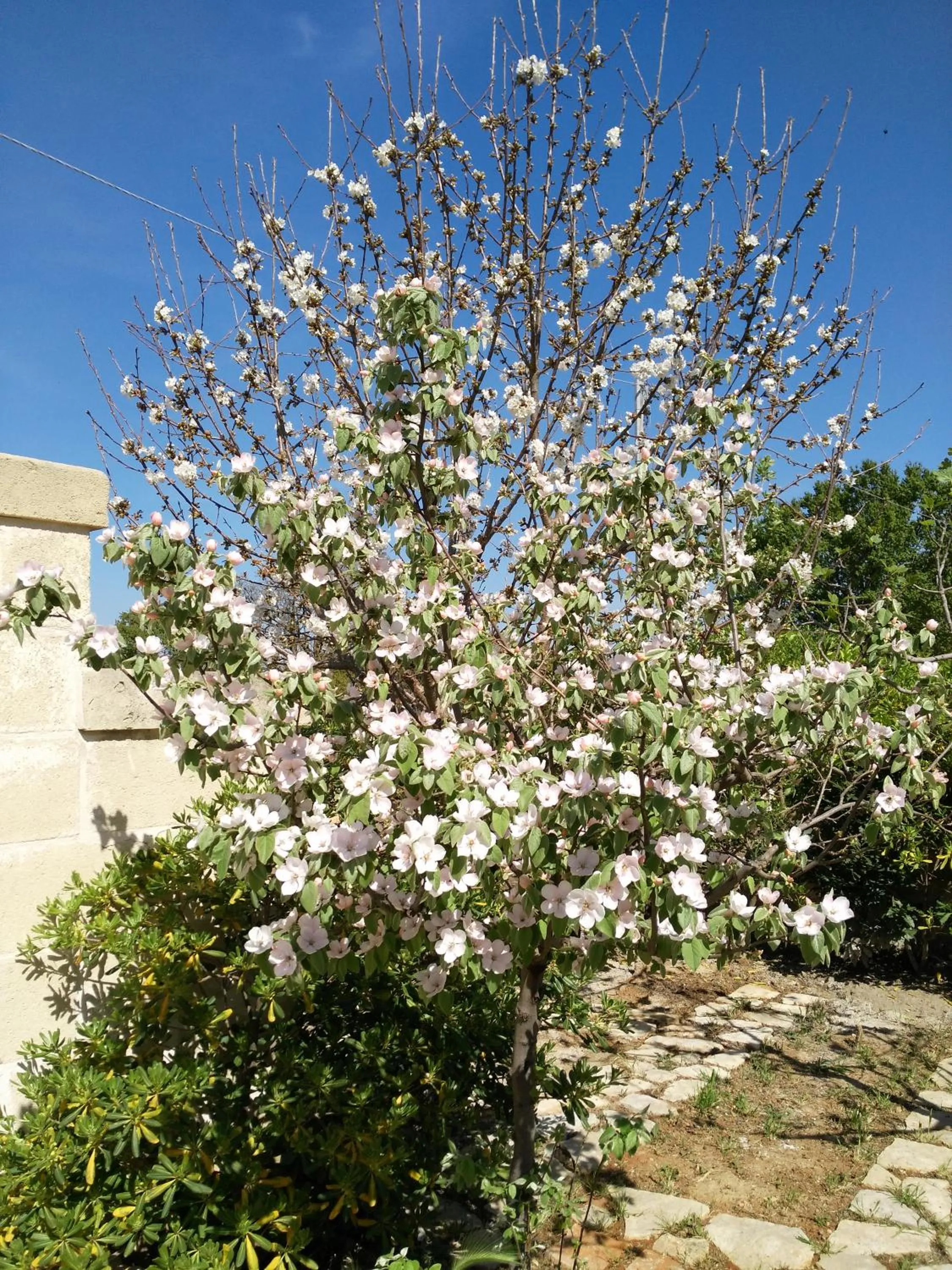 Property building in La Suite nel Bosco