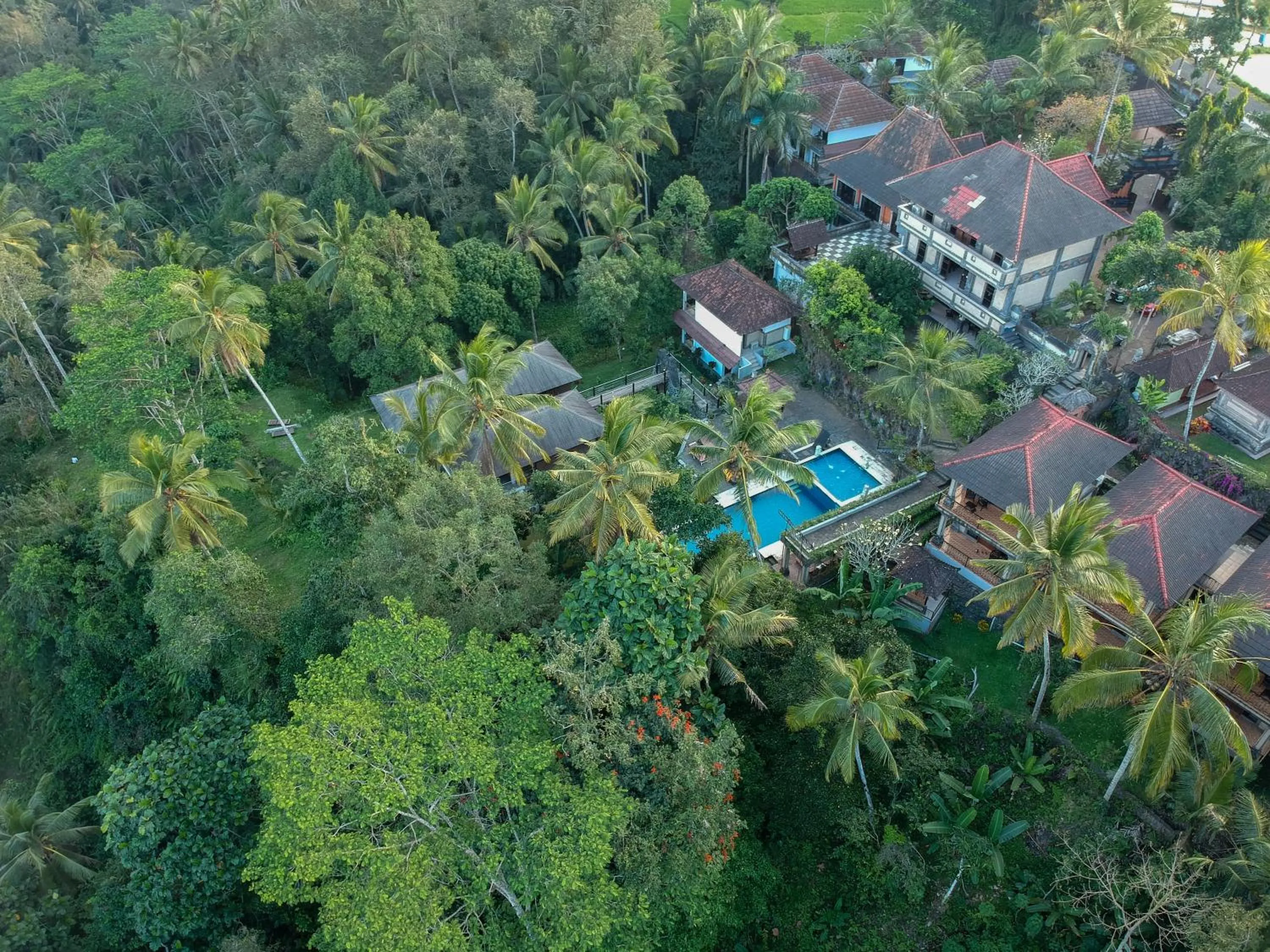 Bird's eye view in Puri Saron Hotel Madangan - Gianyar