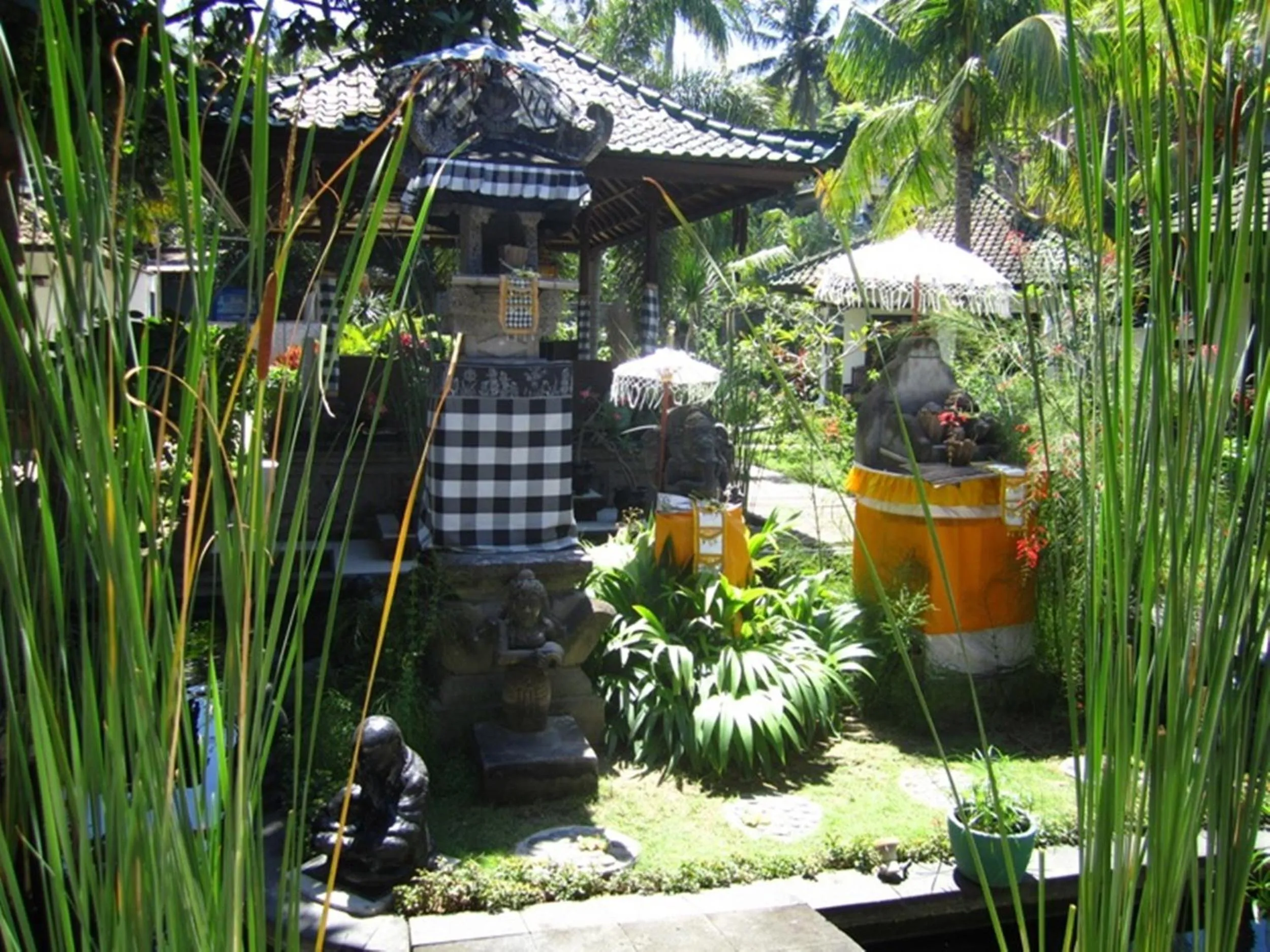 Garden in Absolute Scuba Bali Dive Resort