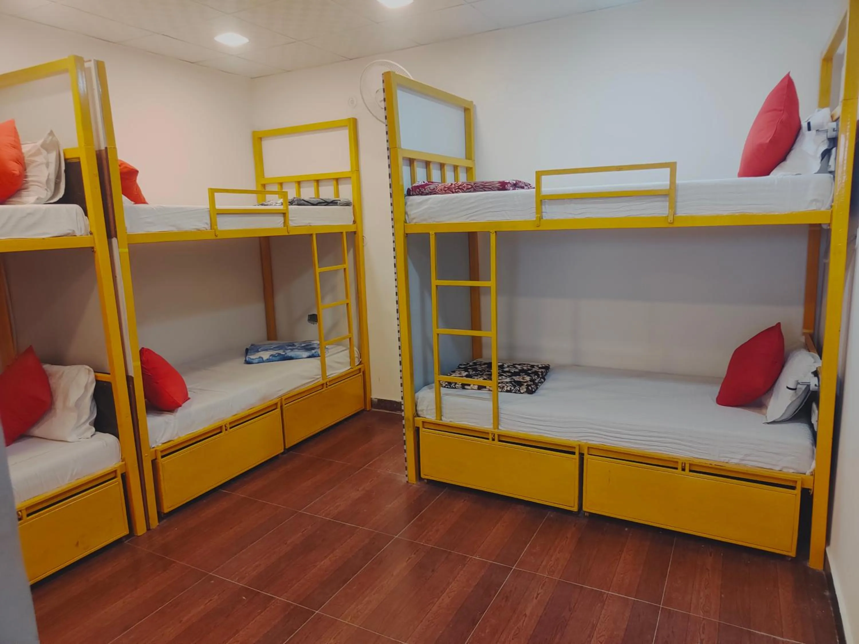 Bed in Bedweiser Backpackers Hostel