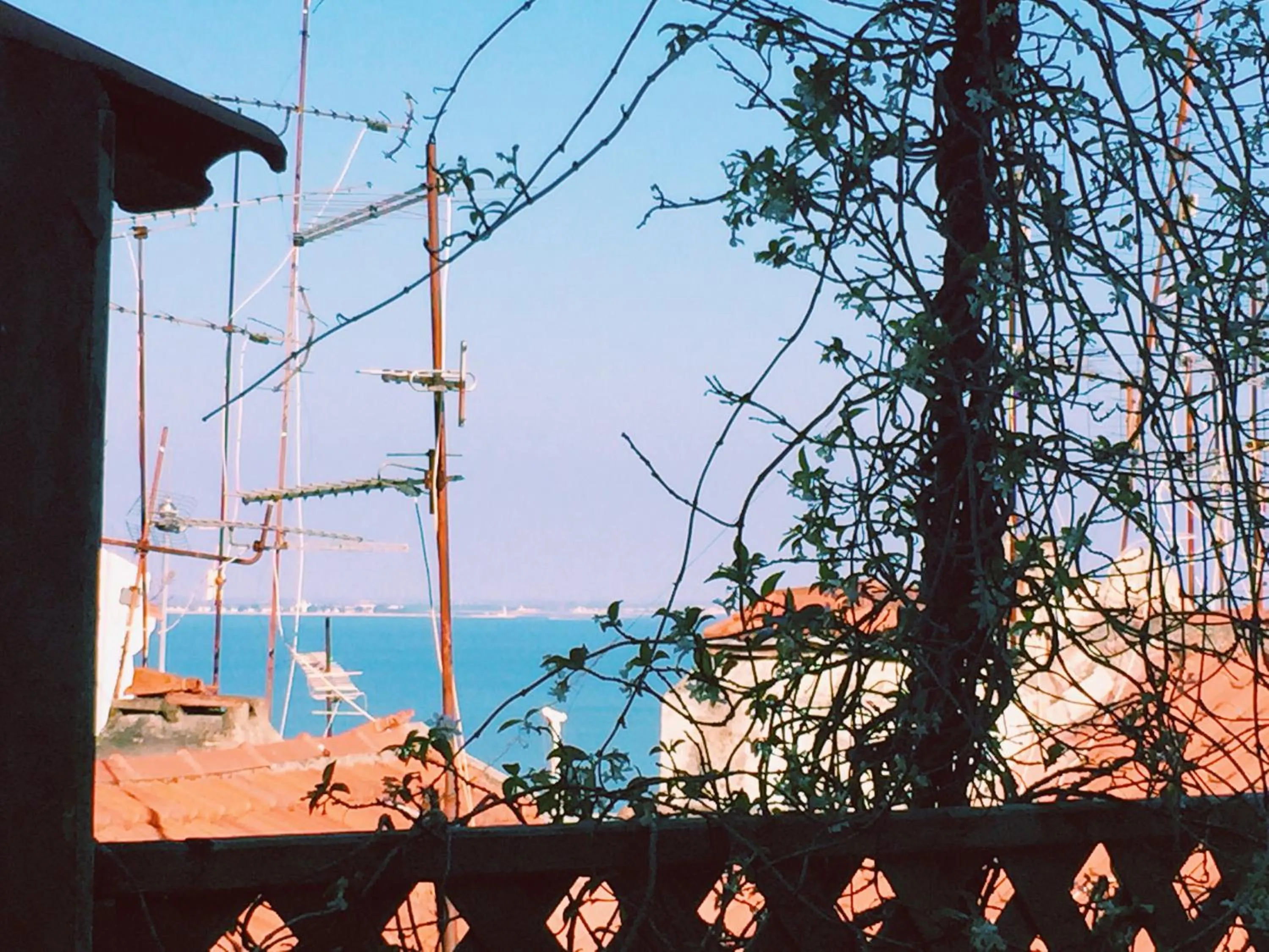 Spring in Casa do Garcês by Lisbon Village Apartments