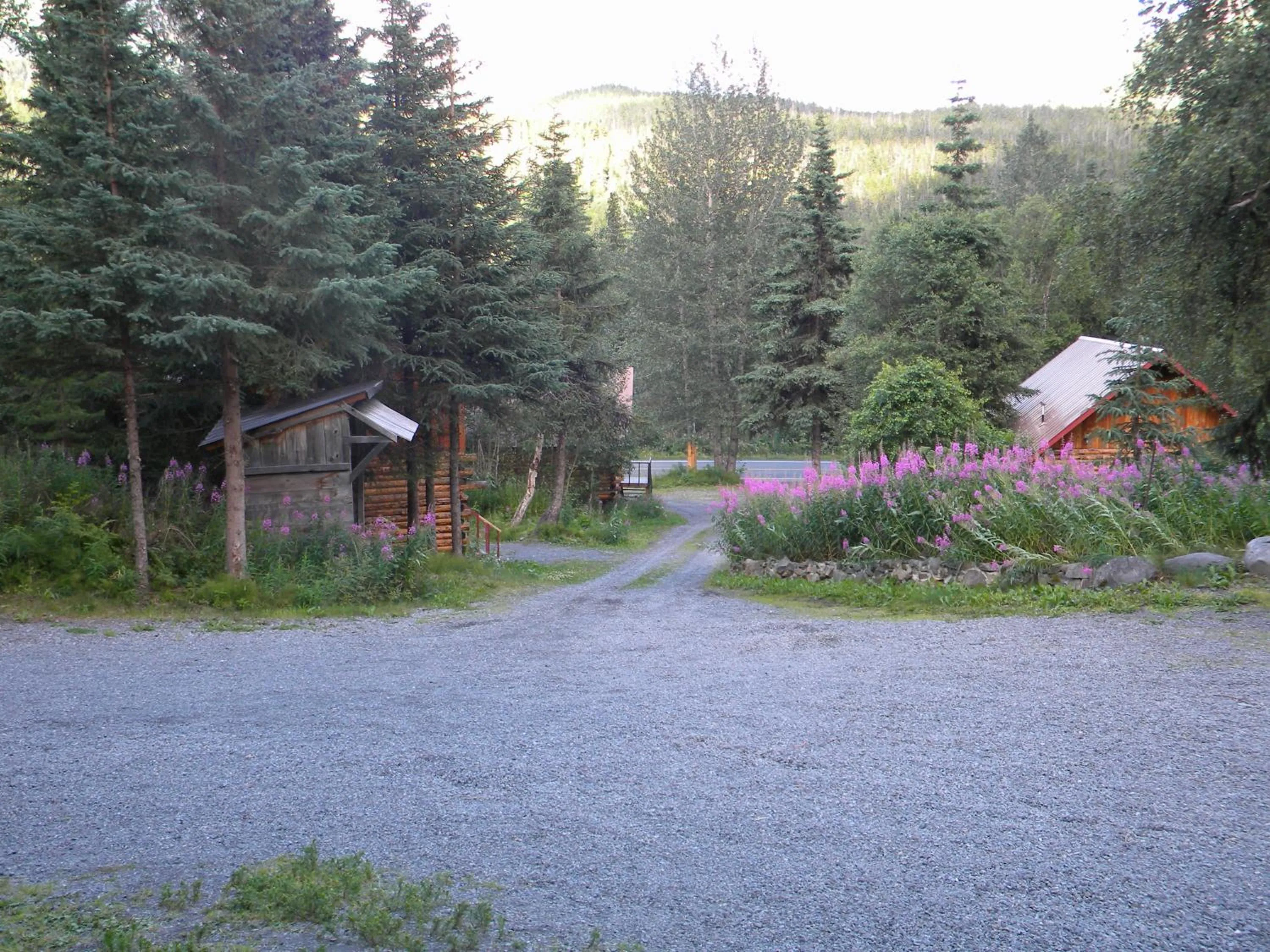 Summer in Midnight Sun Log Cabins