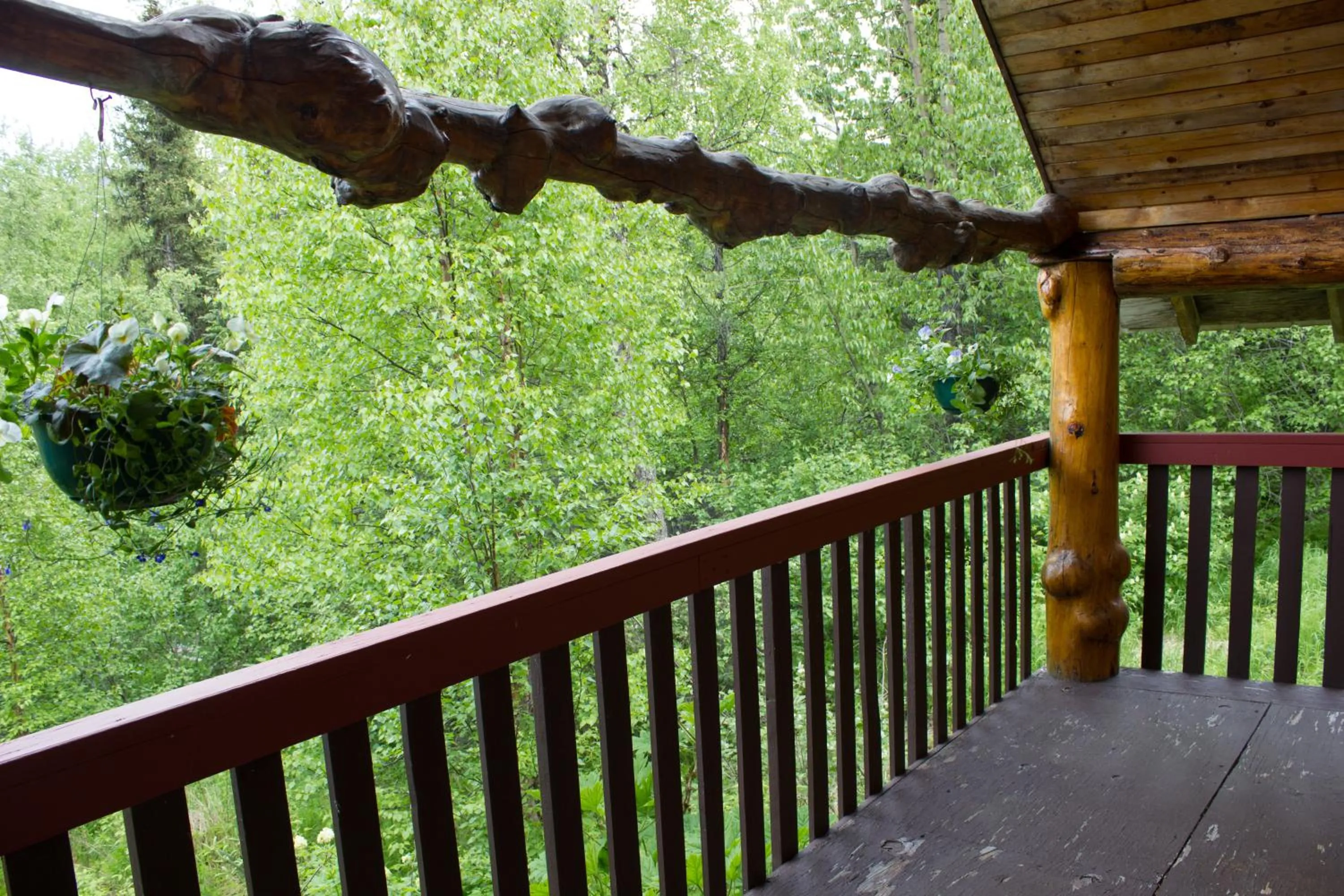 Balcony/Terrace in Midnight Sun Log Cabins