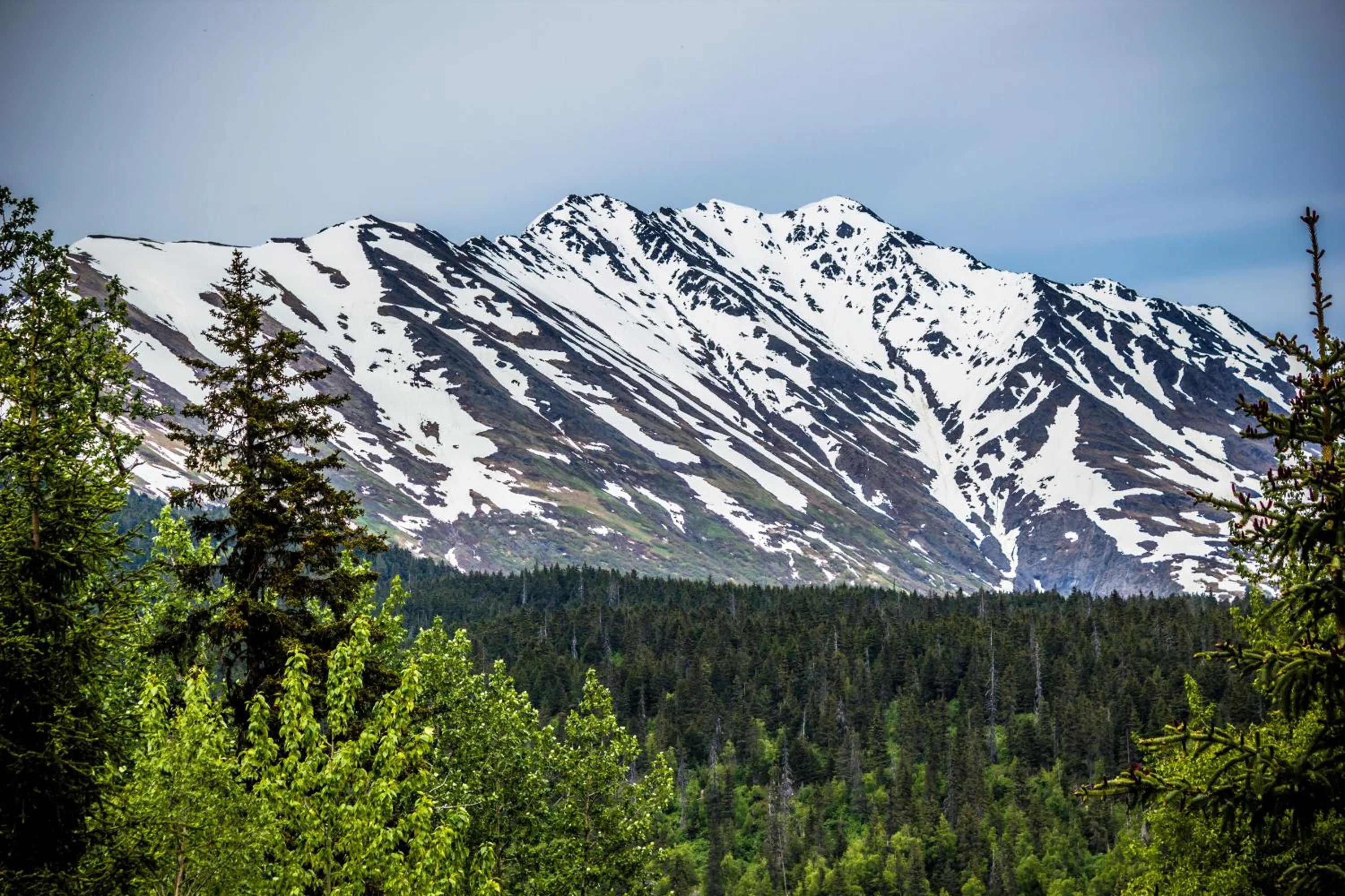 Balcony/Terrace in Midnight Sun Log Cabins