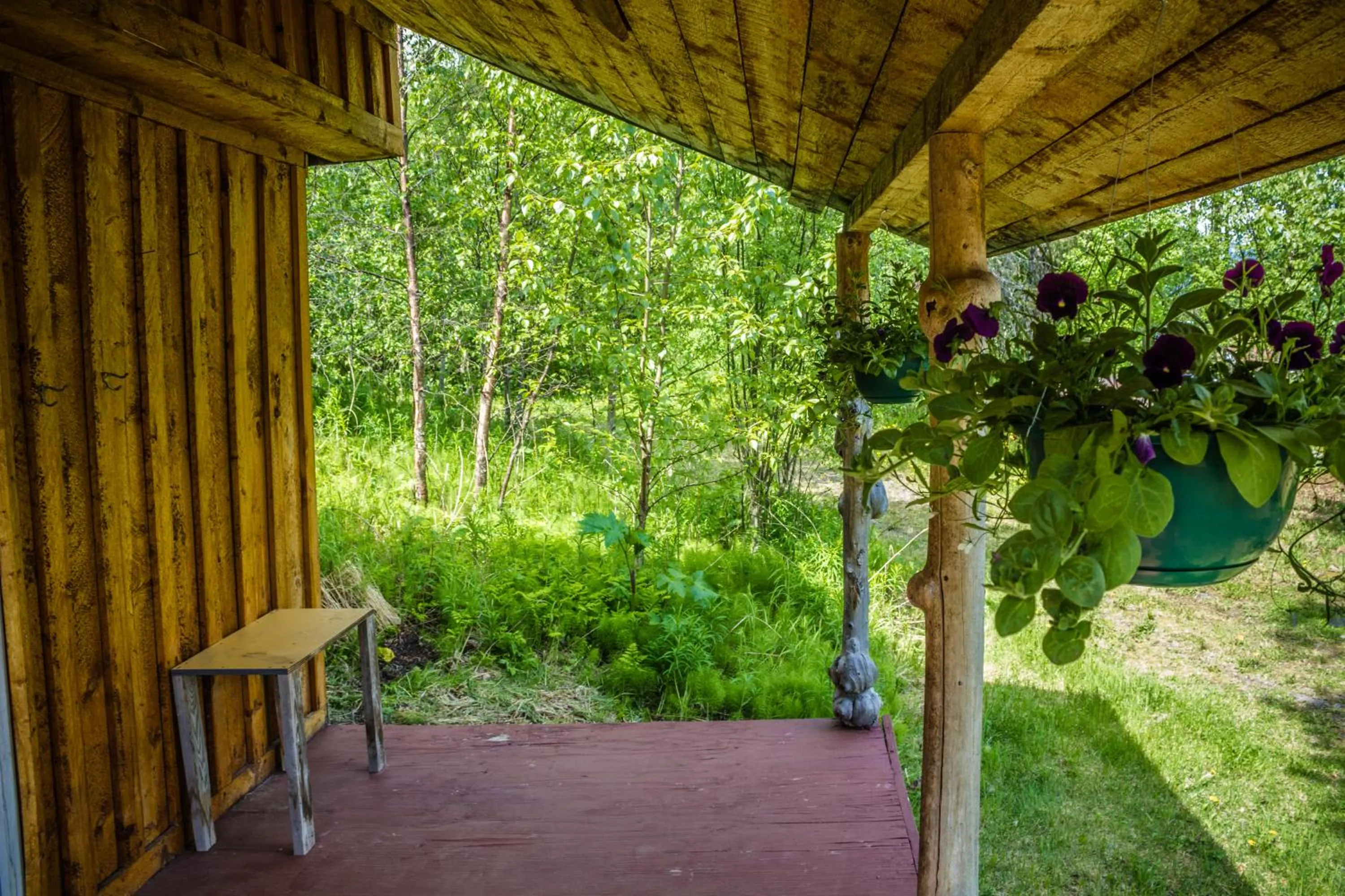 Balcony/Terrace in Midnight Sun Log Cabins
