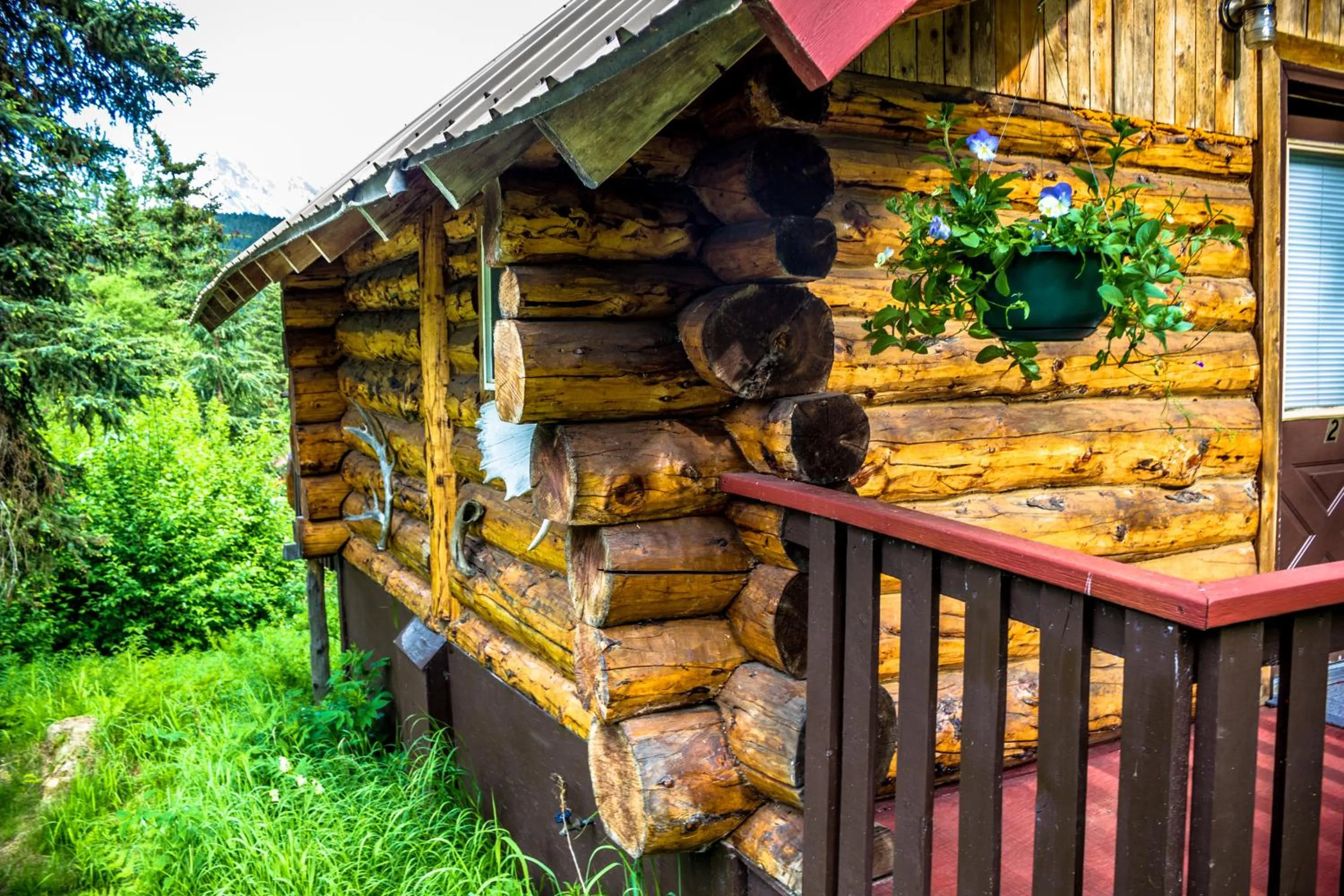 Balcony/Terrace in Midnight Sun Log Cabins