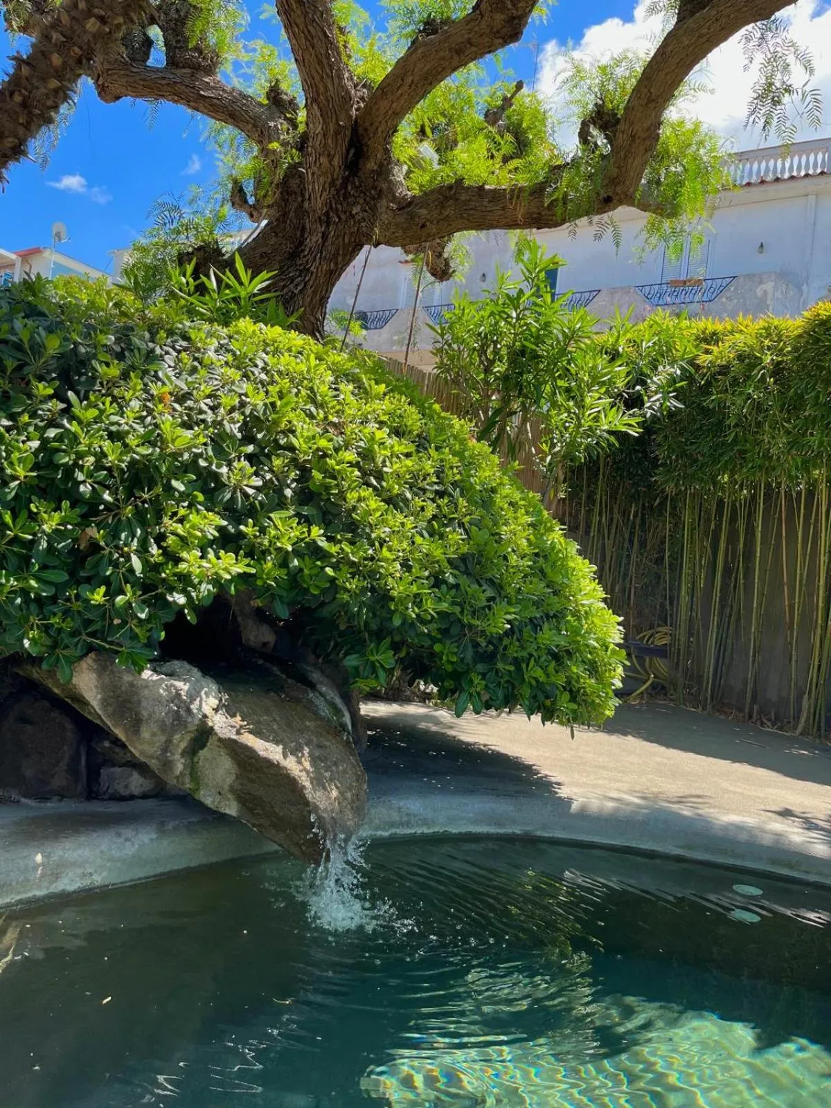 Swimming pool in Resort Villa Flavio