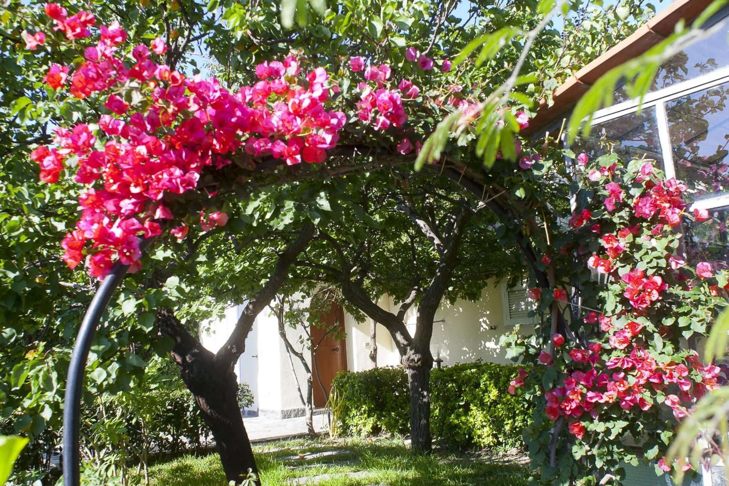 Garden in Resort Villa Flavio