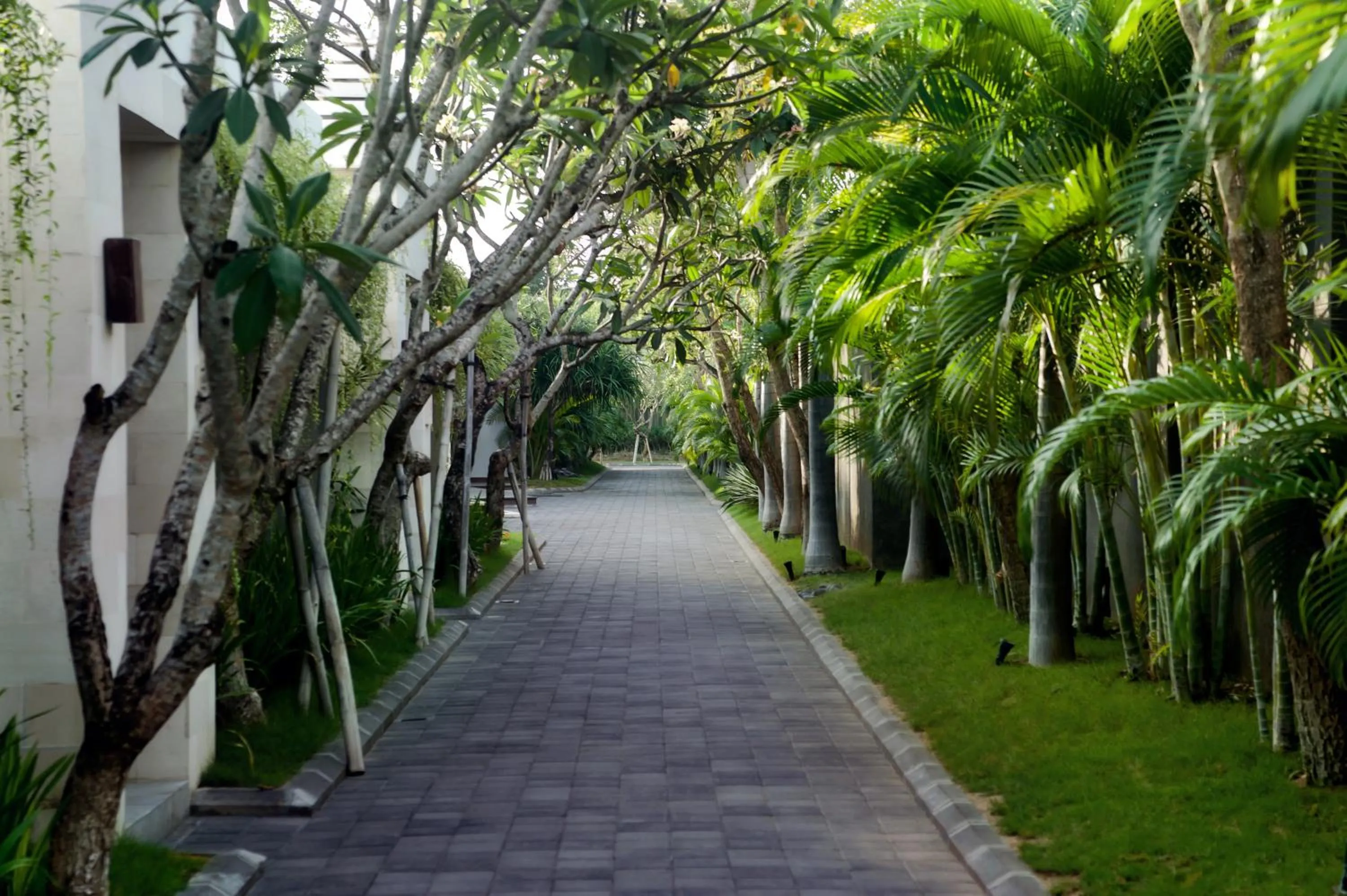 Garden in The Wolas Villas