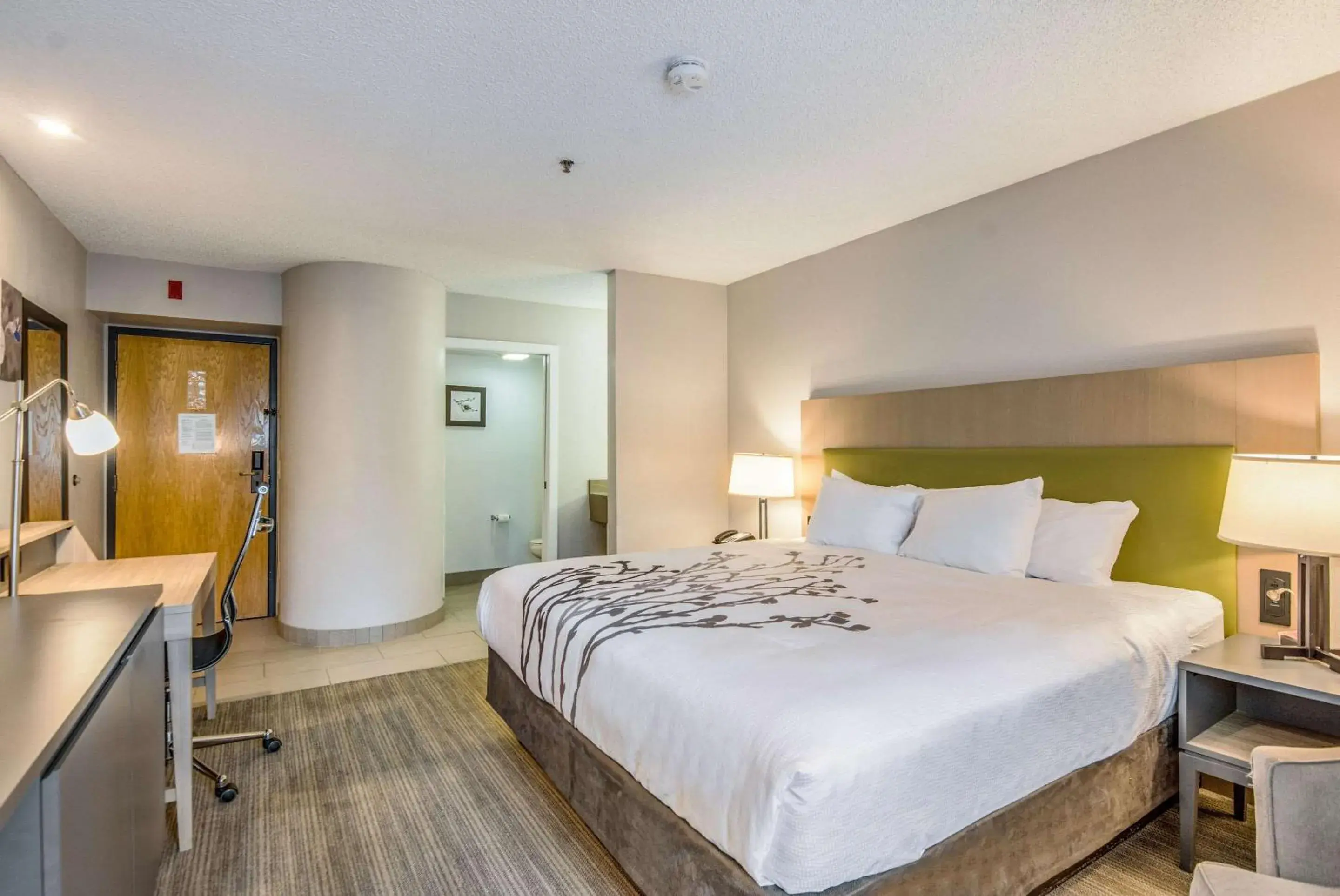 Photo of the whole room, Bed in Sleep Inn Fort Mill near Carowinds Blvd Photo of the whole room, Bed in Sleep Inn Fort Mill near Carowinds Blvd