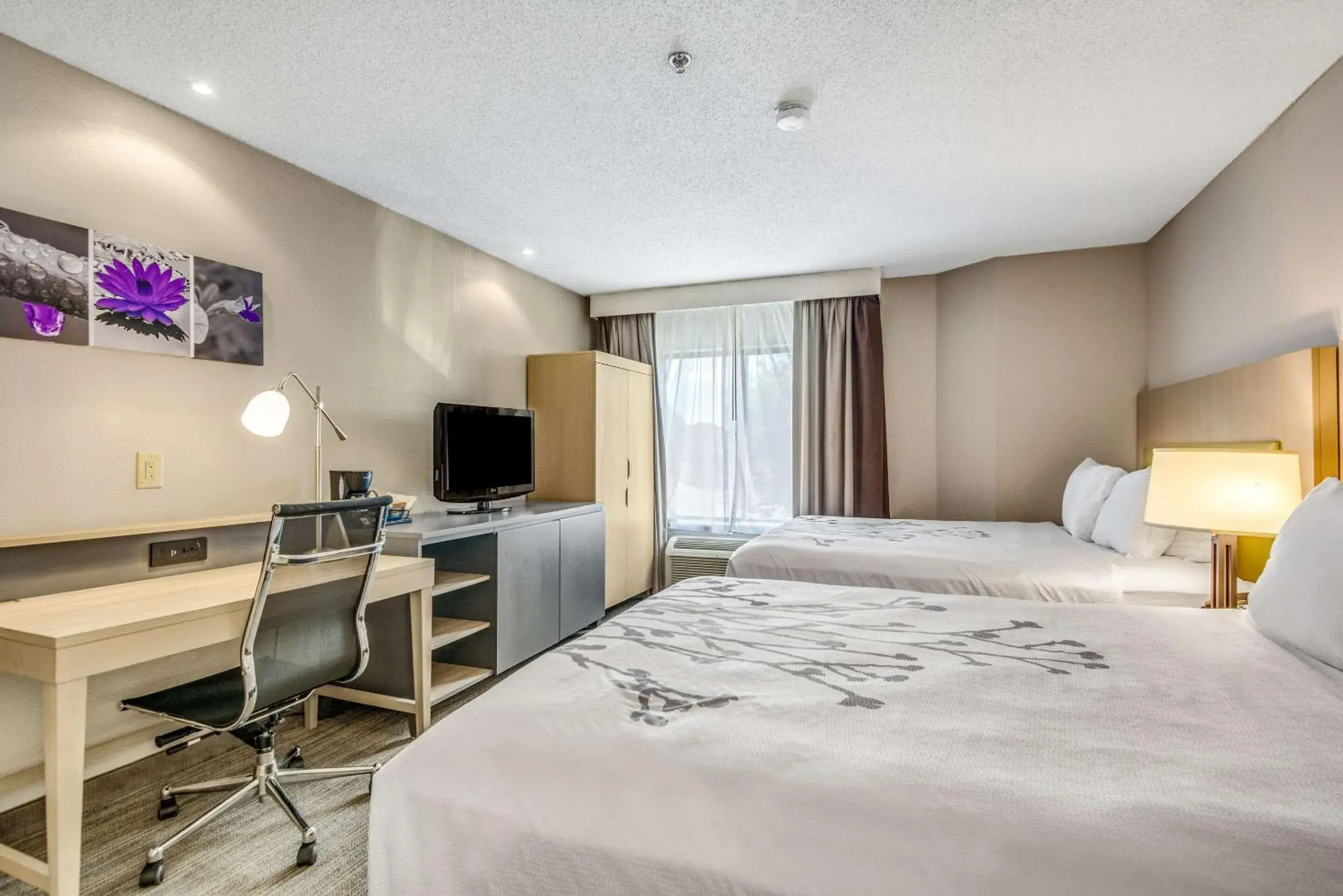 Photo of the whole room, Bed in Sleep Inn Fort Mill near Carowinds Blvd Photo of the whole room, Bed in Sleep Inn Fort Mill near Carowinds Blvd