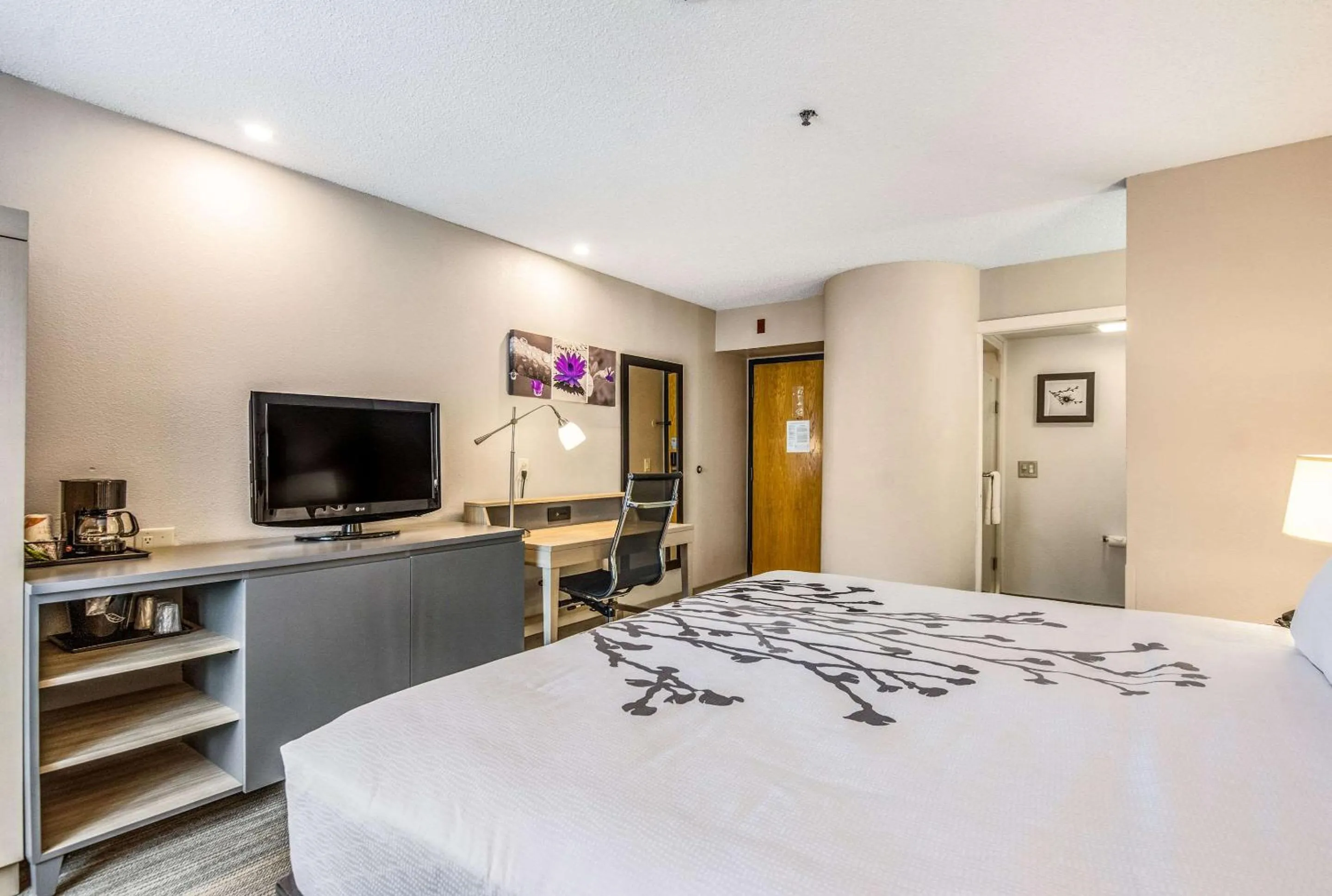 Photo of the whole room, Bed in Sleep Inn Fort Mill near Carowinds Blvd