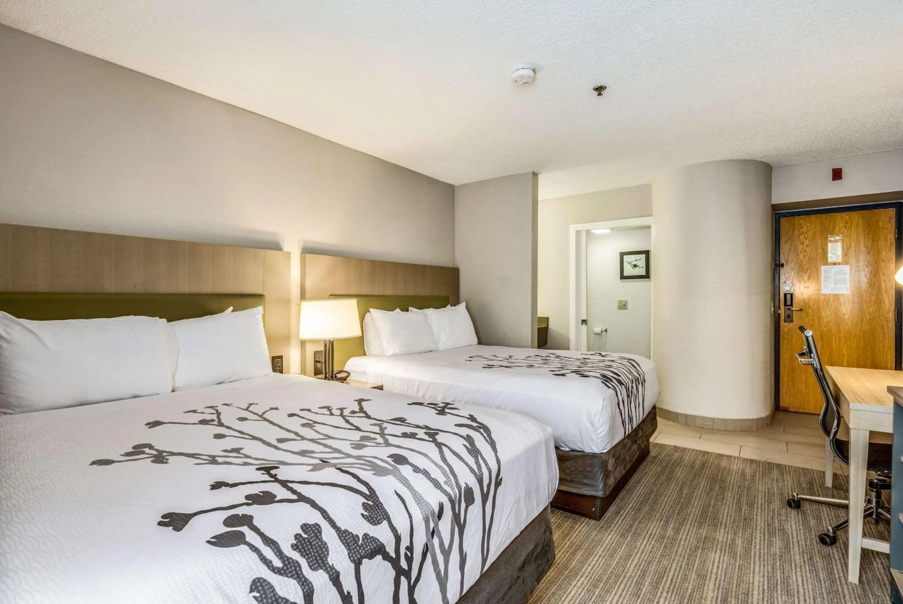 Photo of the whole room, Bed in Sleep Inn Fort Mill near Carowinds Blvd