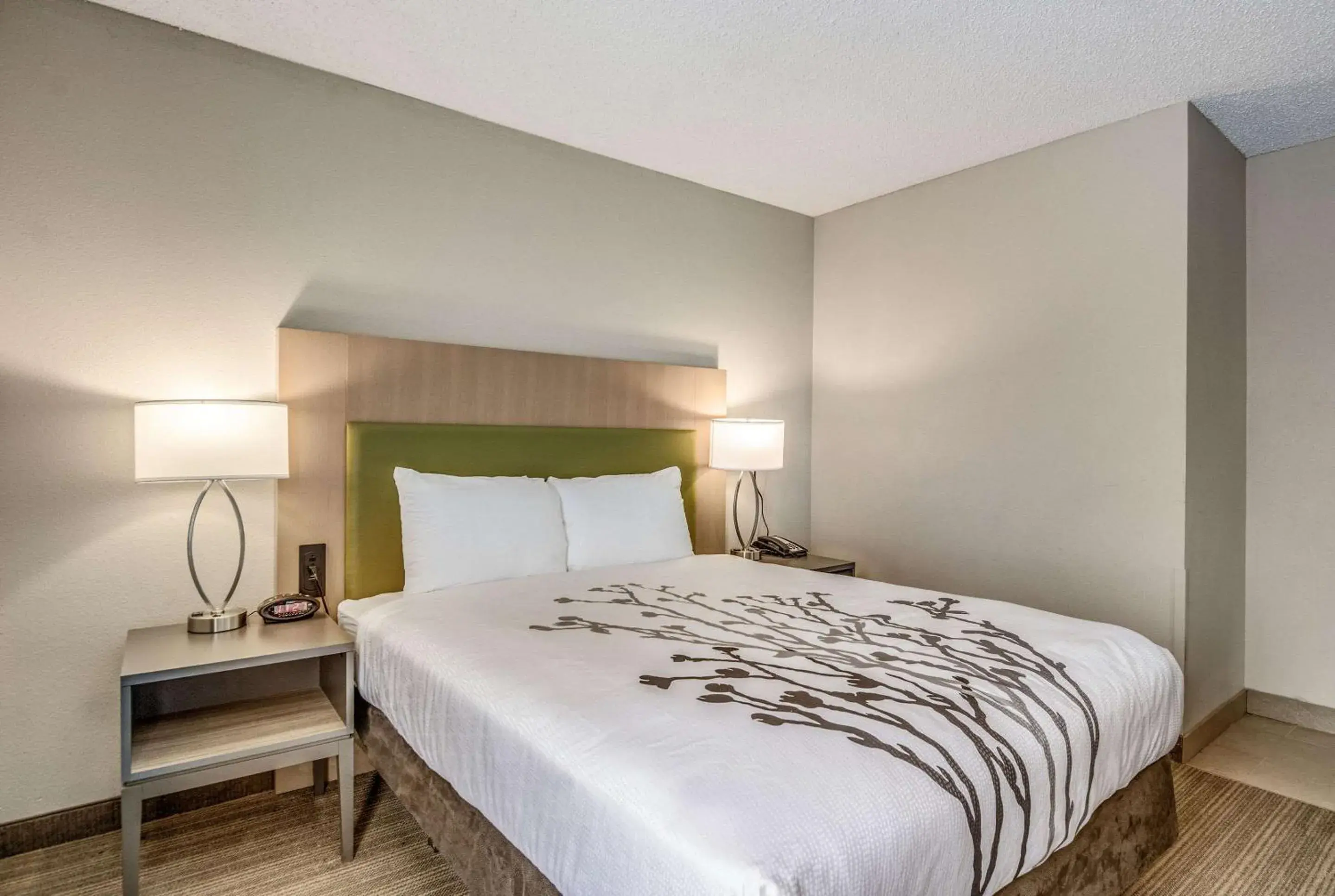 Photo of the whole room, Bed in Sleep Inn Fort Mill near Carowinds Blvd Photo of the whole room, Bed in Sleep Inn Fort Mill near Carowinds Blvd