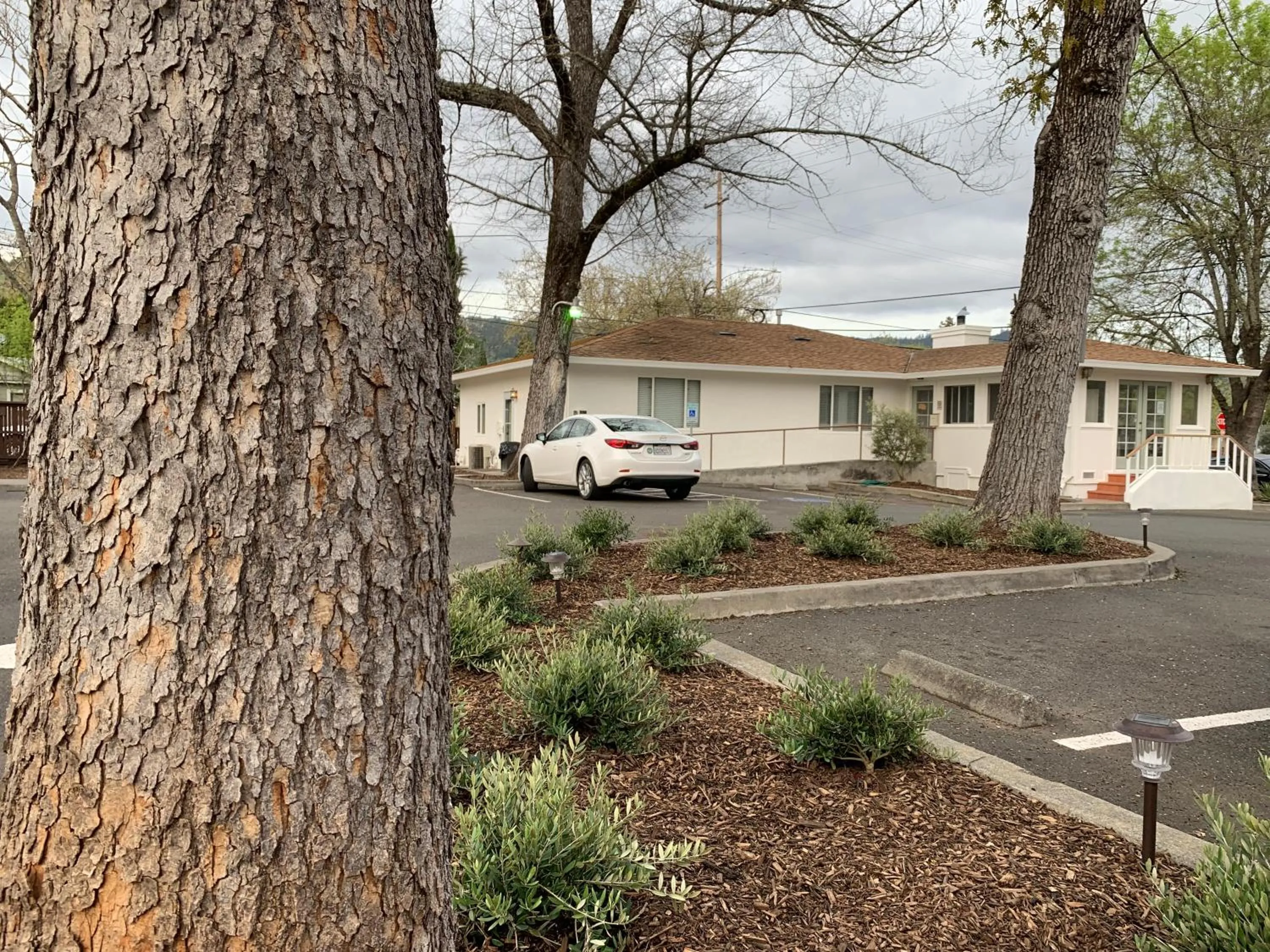 On site in Carlin's Cottage Court