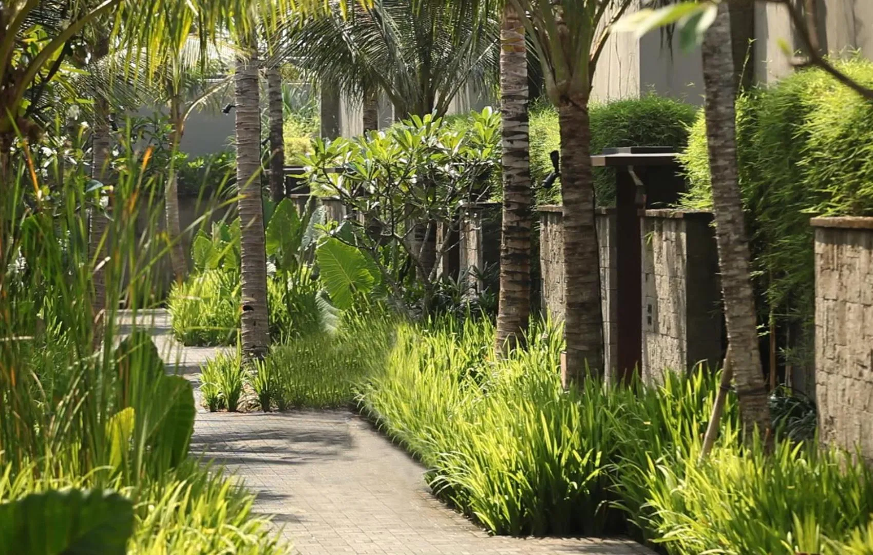 Garden in Soori Bali