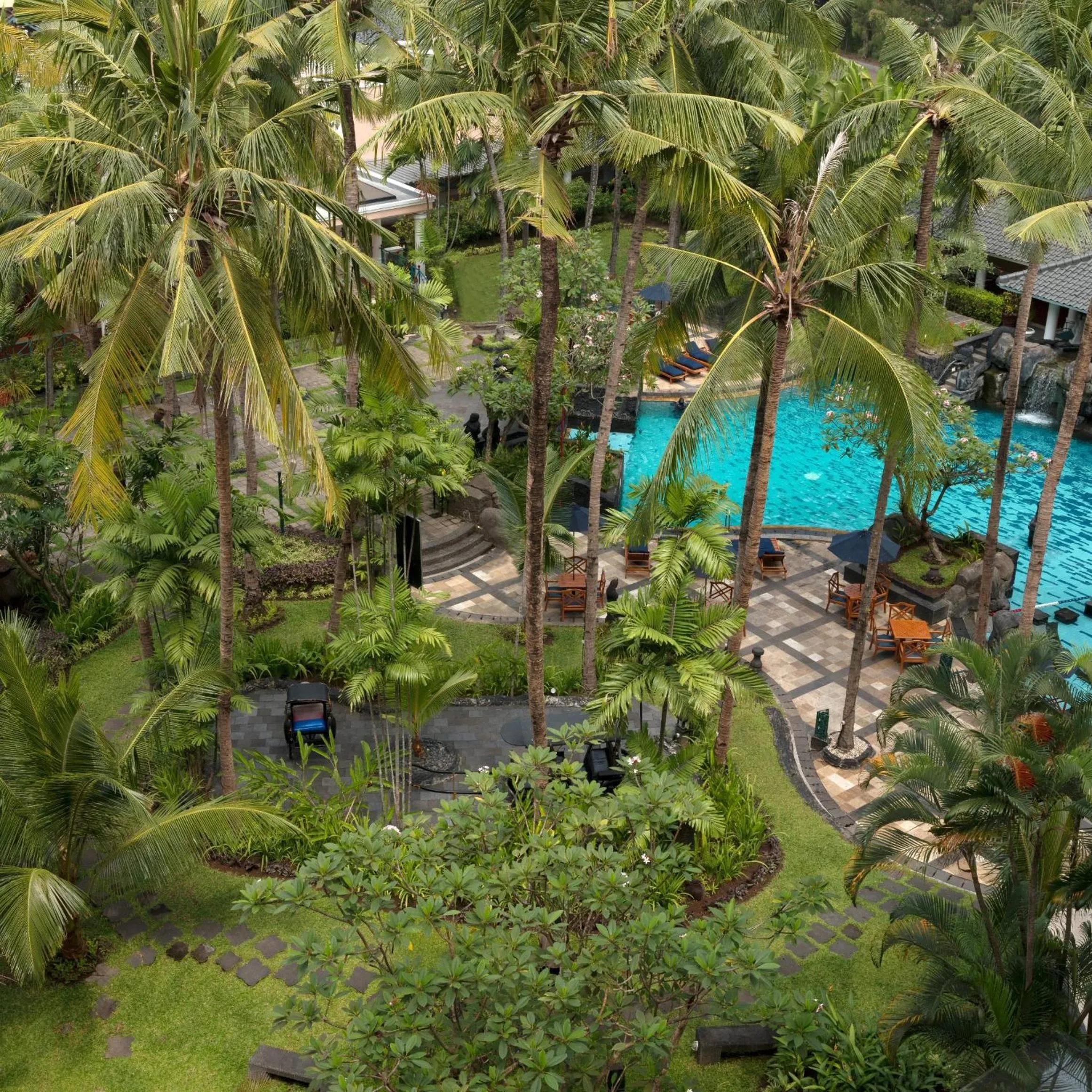 Garden in Melia Purosani Yogyakarta