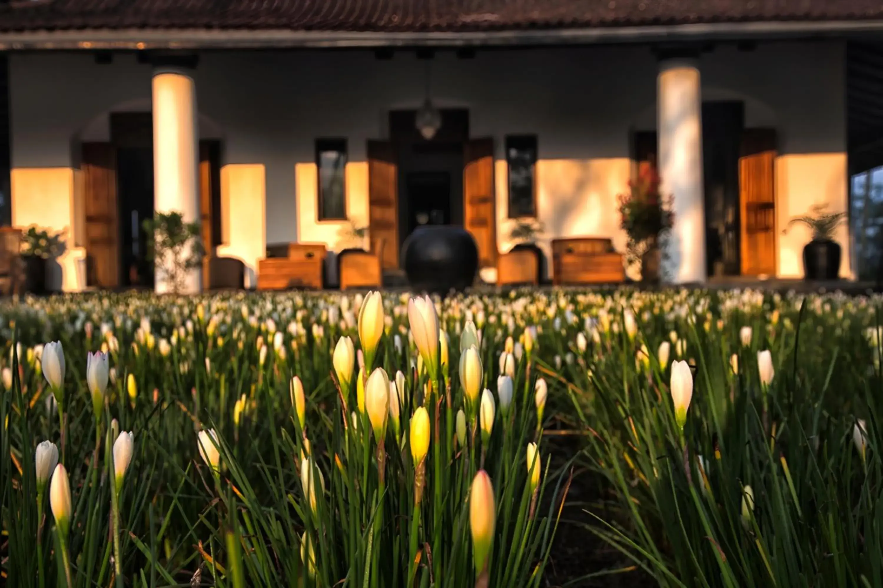 Property building in MesaStila Resort and Spa Property building in MesaStila Resort and Spa