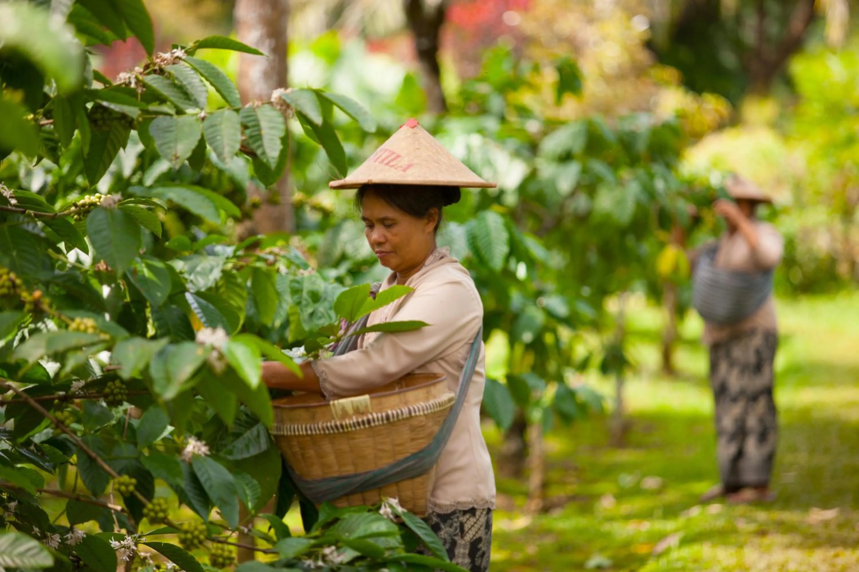 Activities in MesaStila Resort and Spa